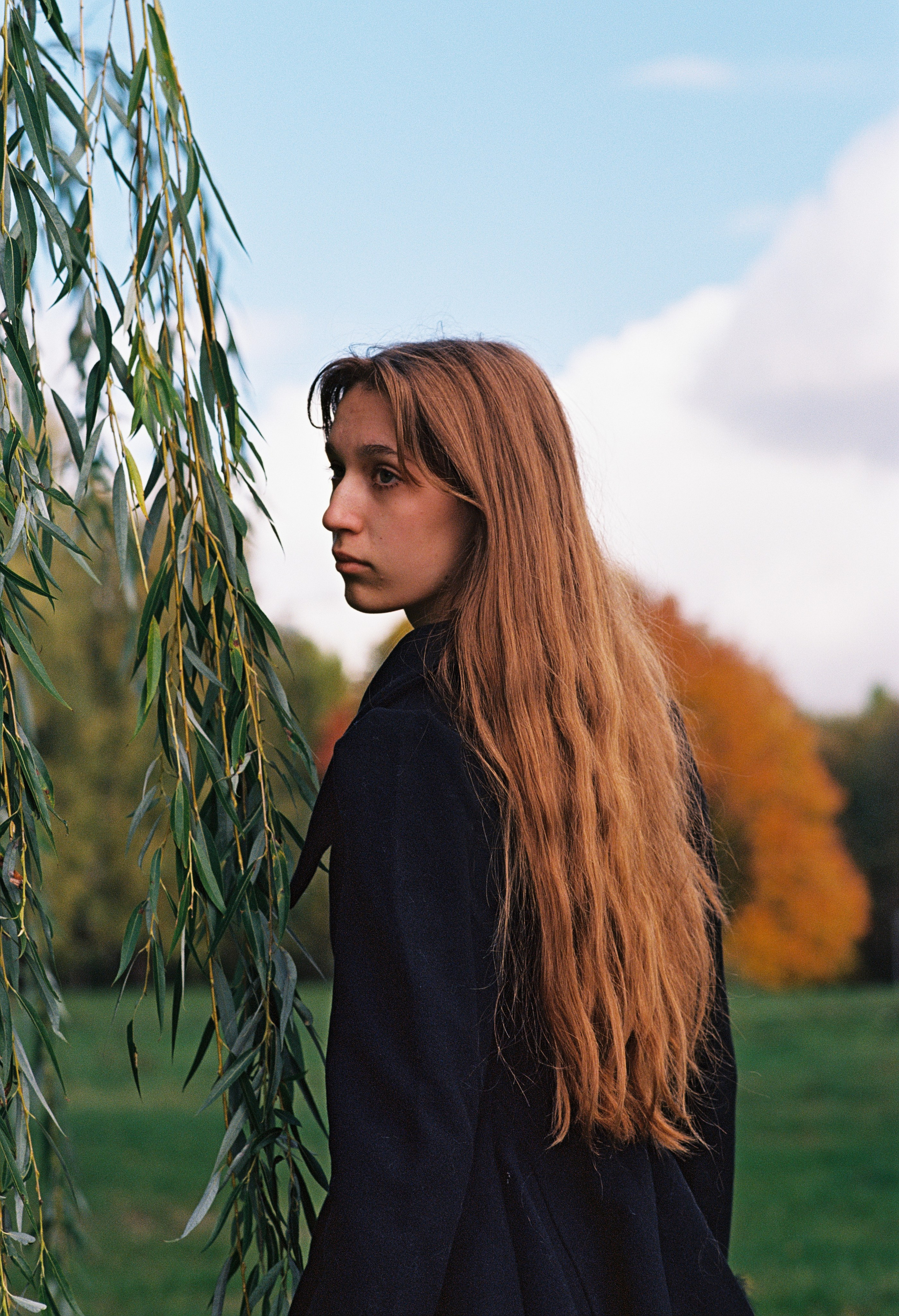 Kodak Ektar 100