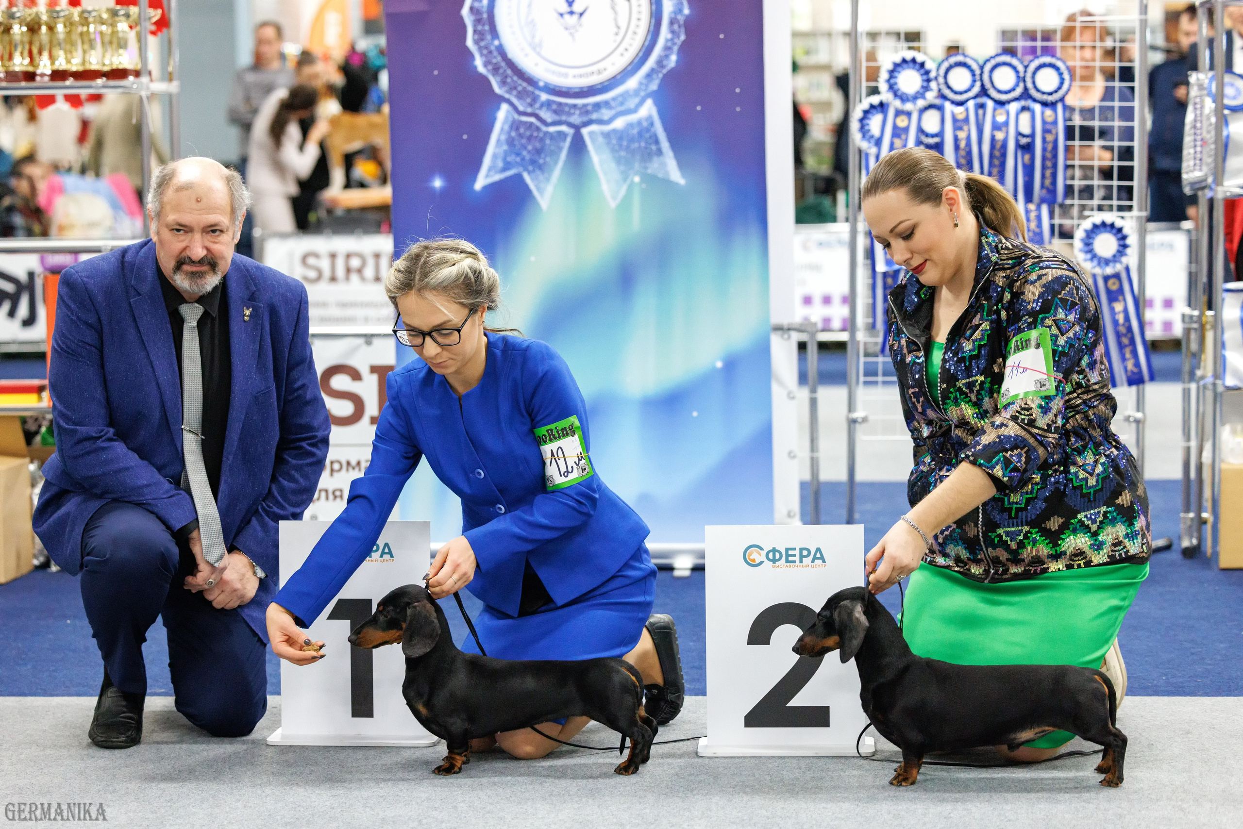 Крокус 10.02,Сфера 11.02.2024. Фотограф-анималист Юлия Германика