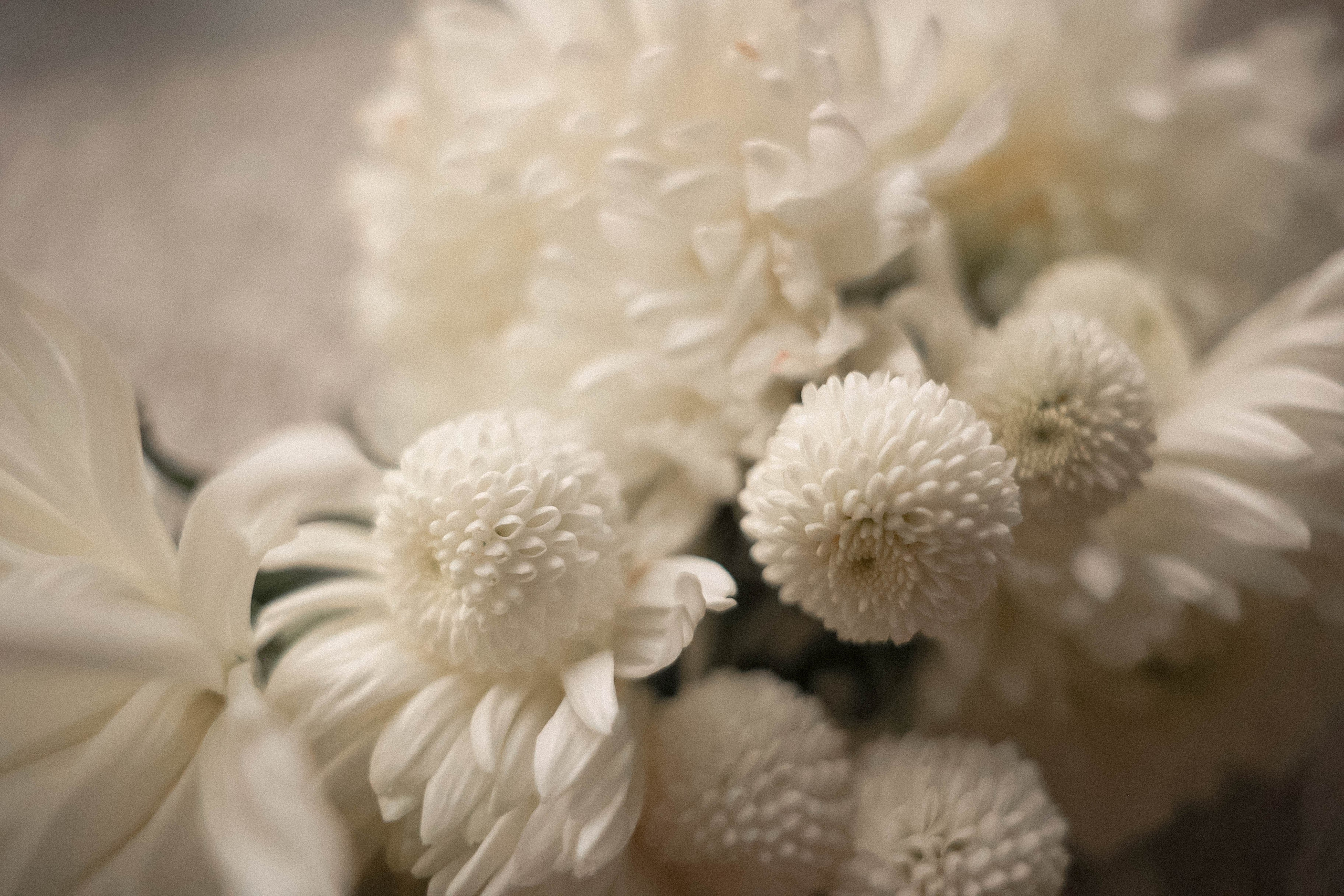 Мария и Григорий. Свадебный, репортажный, фотограф Москва и Московская область