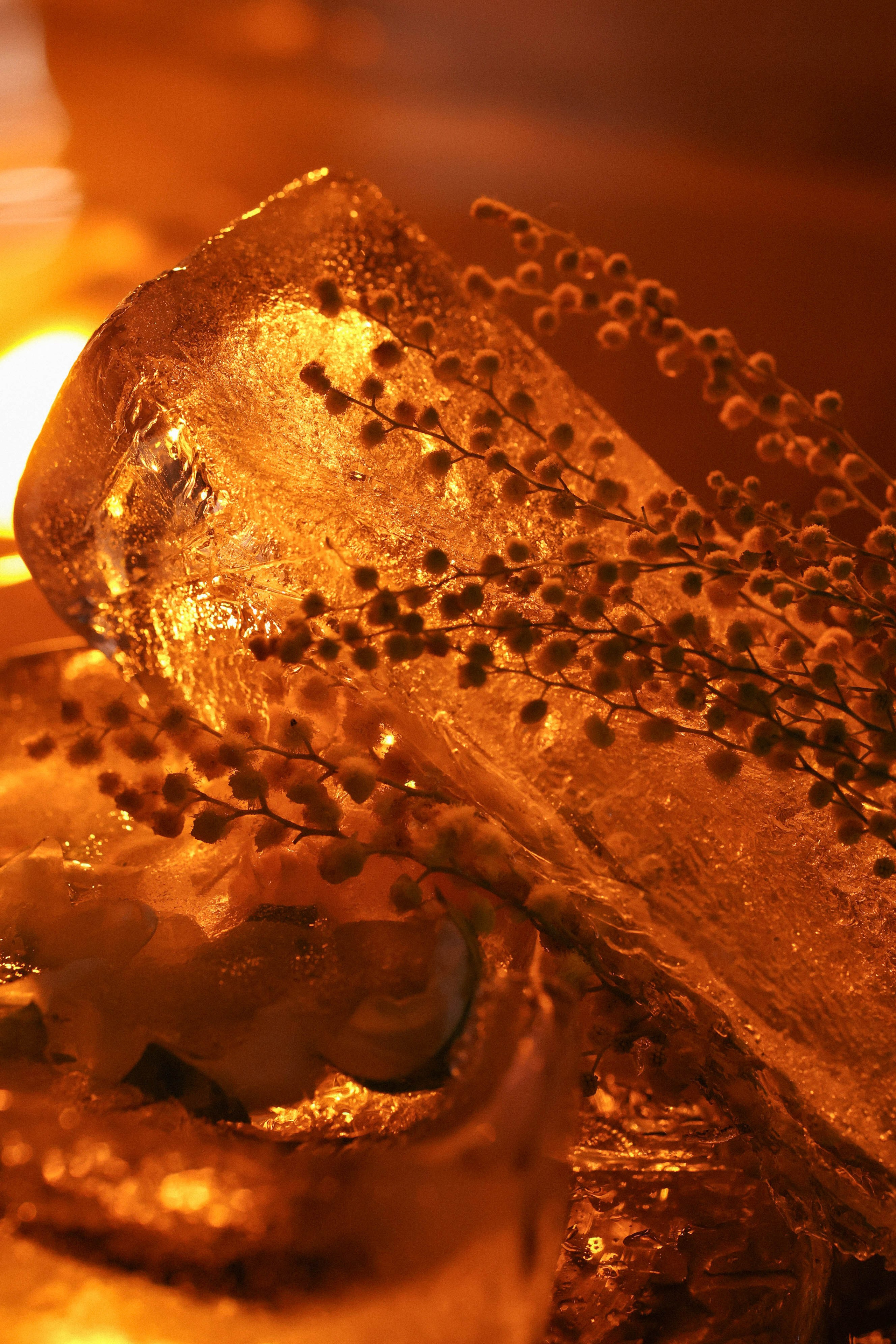 ПРОБУЖДЕНИЕ СЕРДЦА. Свадебный, репортажный, фотограф Москва и Московская область