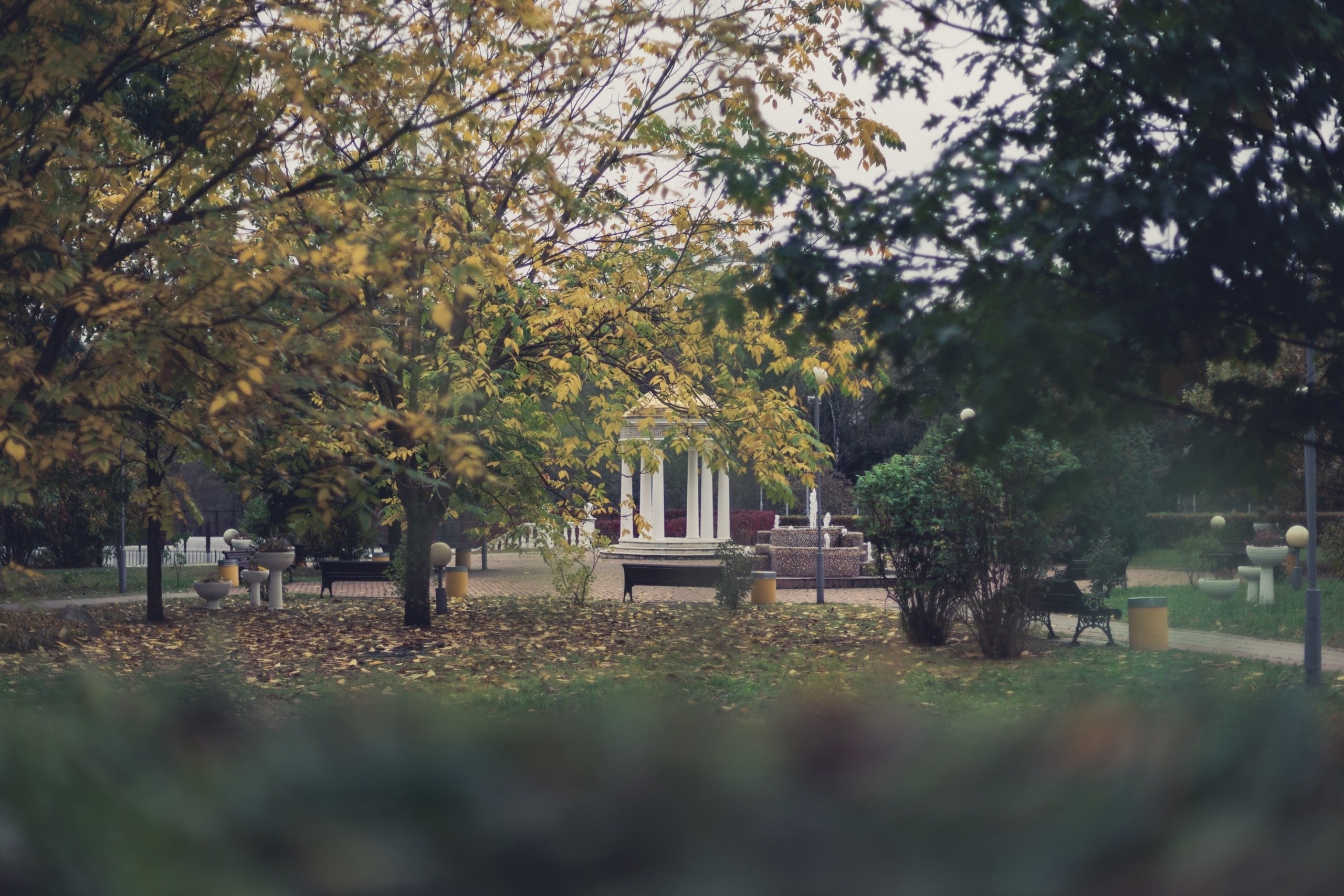 Фотограф и видеограф Лашманов Павел