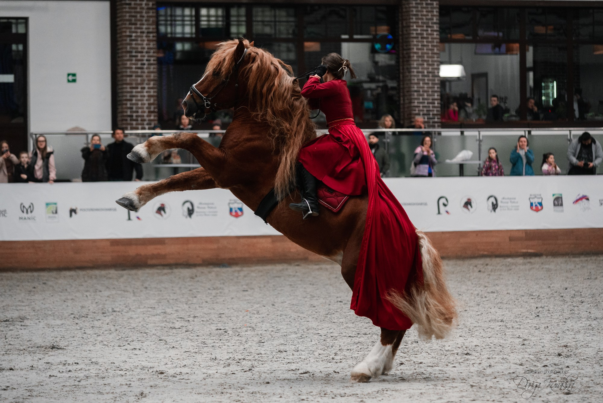 8-я международная выставка Конная Россия. Конный фотограф Куракина Дарья • Фотосессии с лошадьми