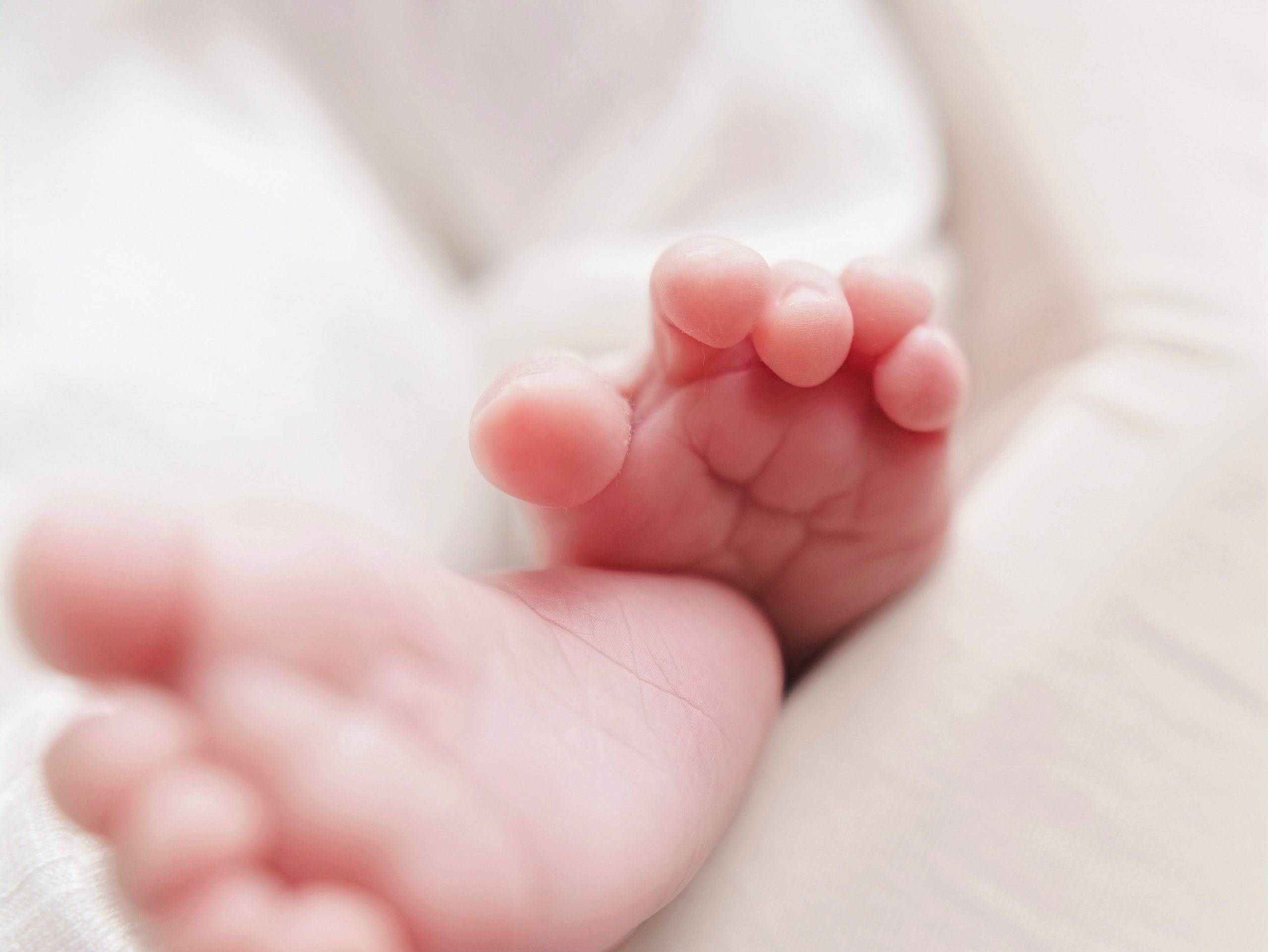 Family newborn. Фотограф и видеограф Тверь