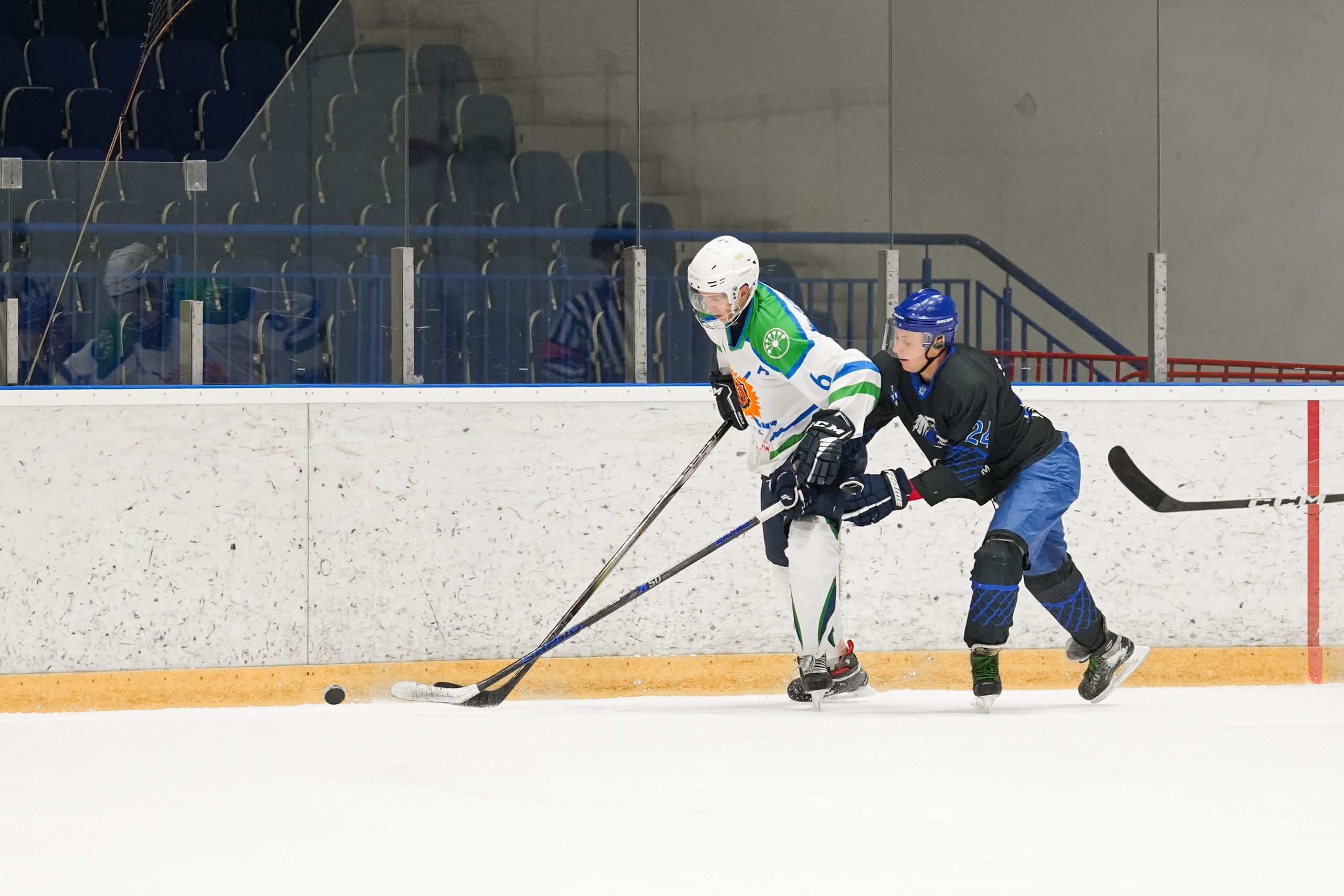 Башкирская хоккейная лига. Маслухин Дмитрий — Ваш Фотограф