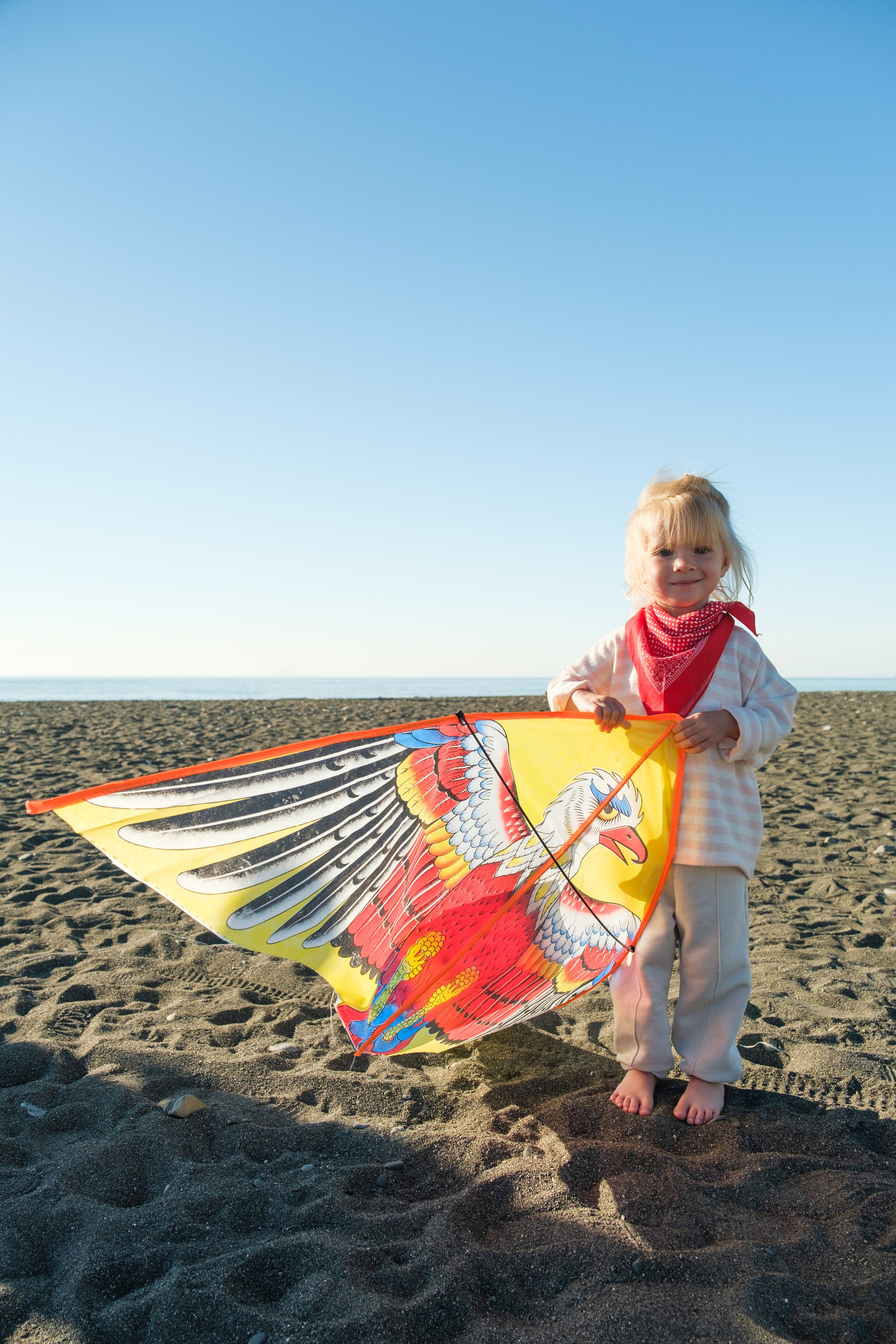 Воздушный змей. Свадебный Видеограф Фотограф в Сочи