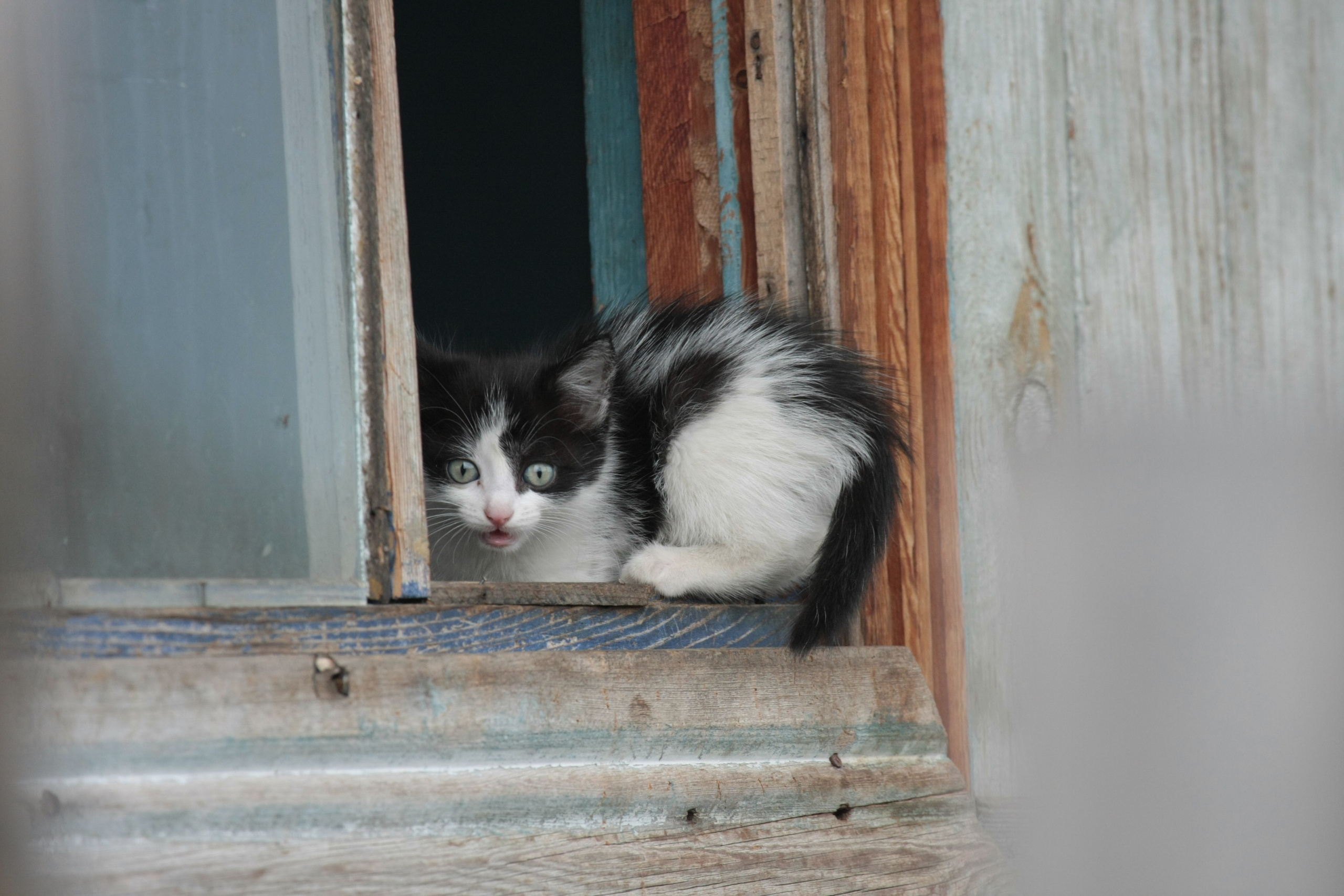 Фото Природы Забайкалья. Студия Максима Белослюдцева