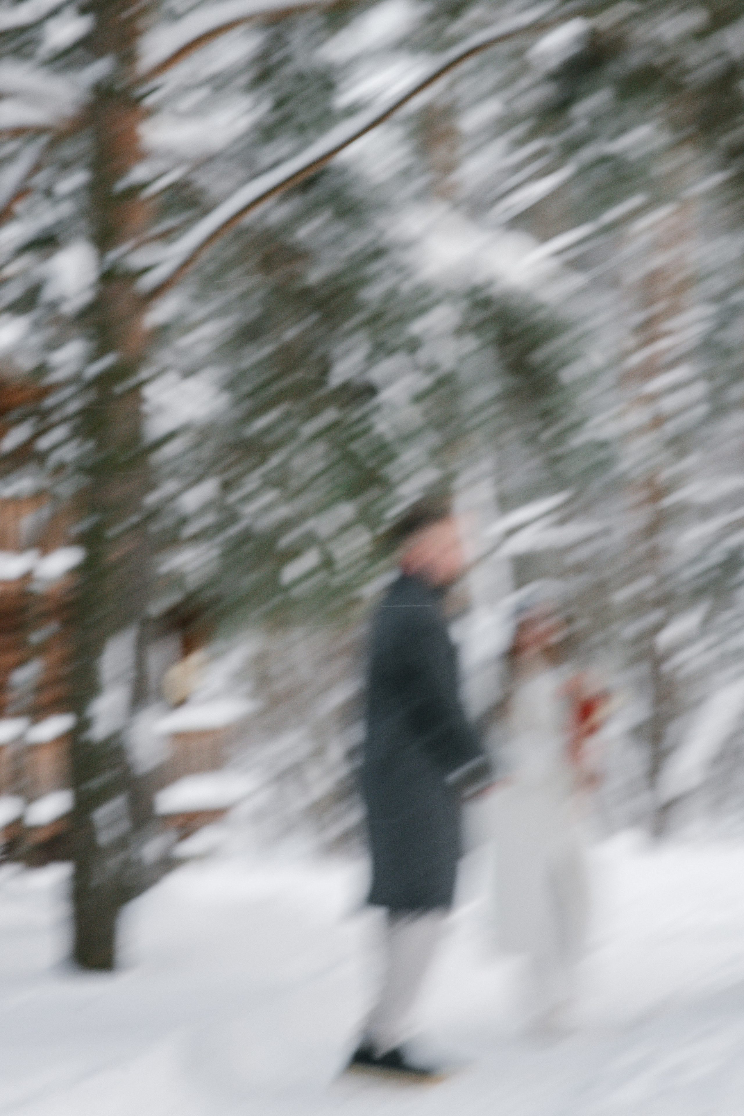 Костромская свадьба. Фотограф в Москве/Зарайске Шахова Марина