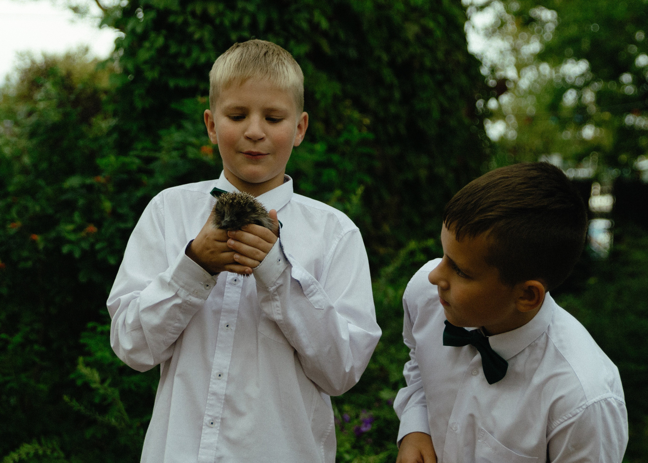Свадебная фотосессия для Василия и Софии
