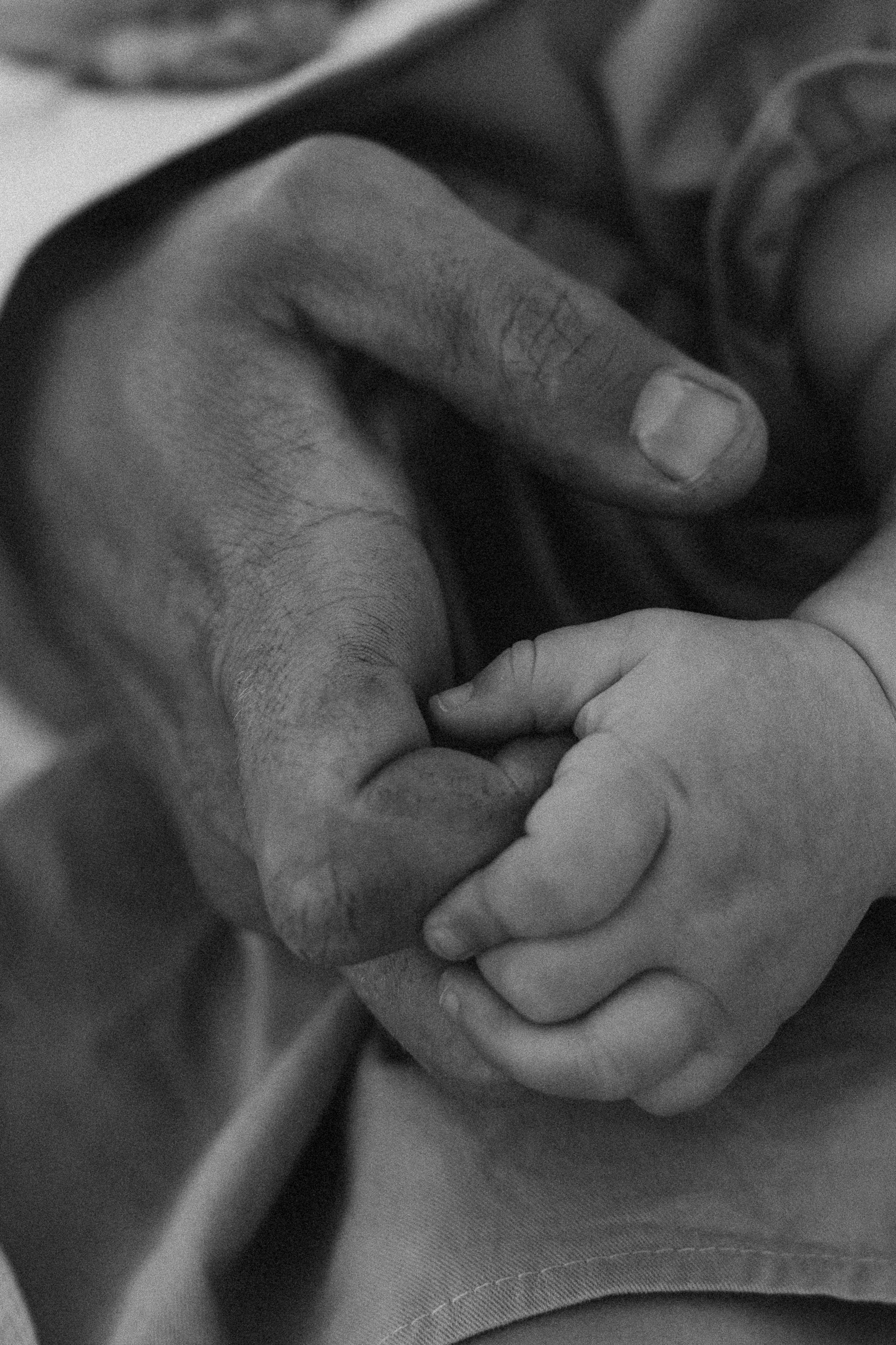 Булочка. Фотограф из Петербурга