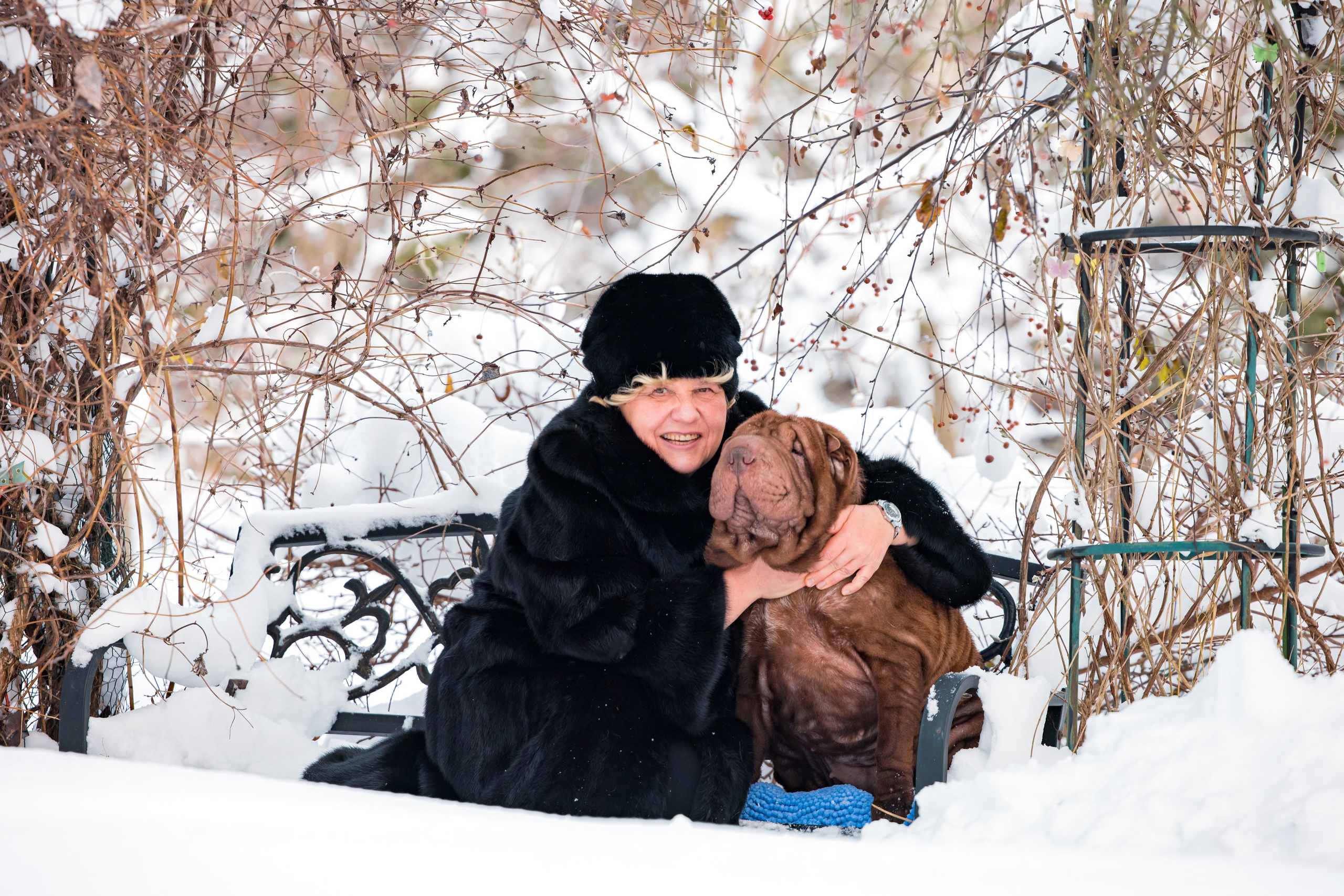 В гостях у шарпеев 16.01.2024. Фотограф-анималист Юлия Германика