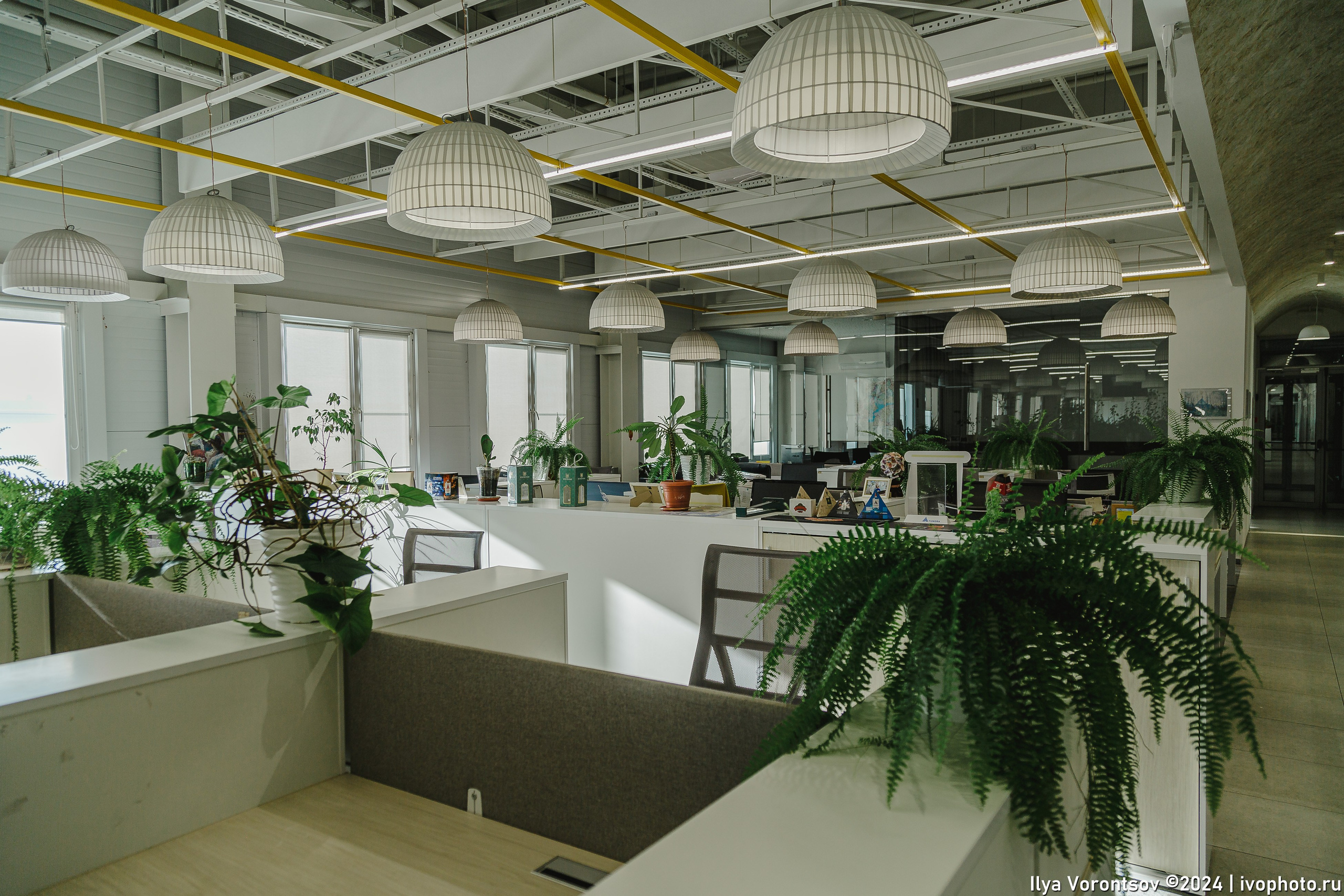 Корпоративная фотосъёмка. Фотограф в Казани Воронцов Илья