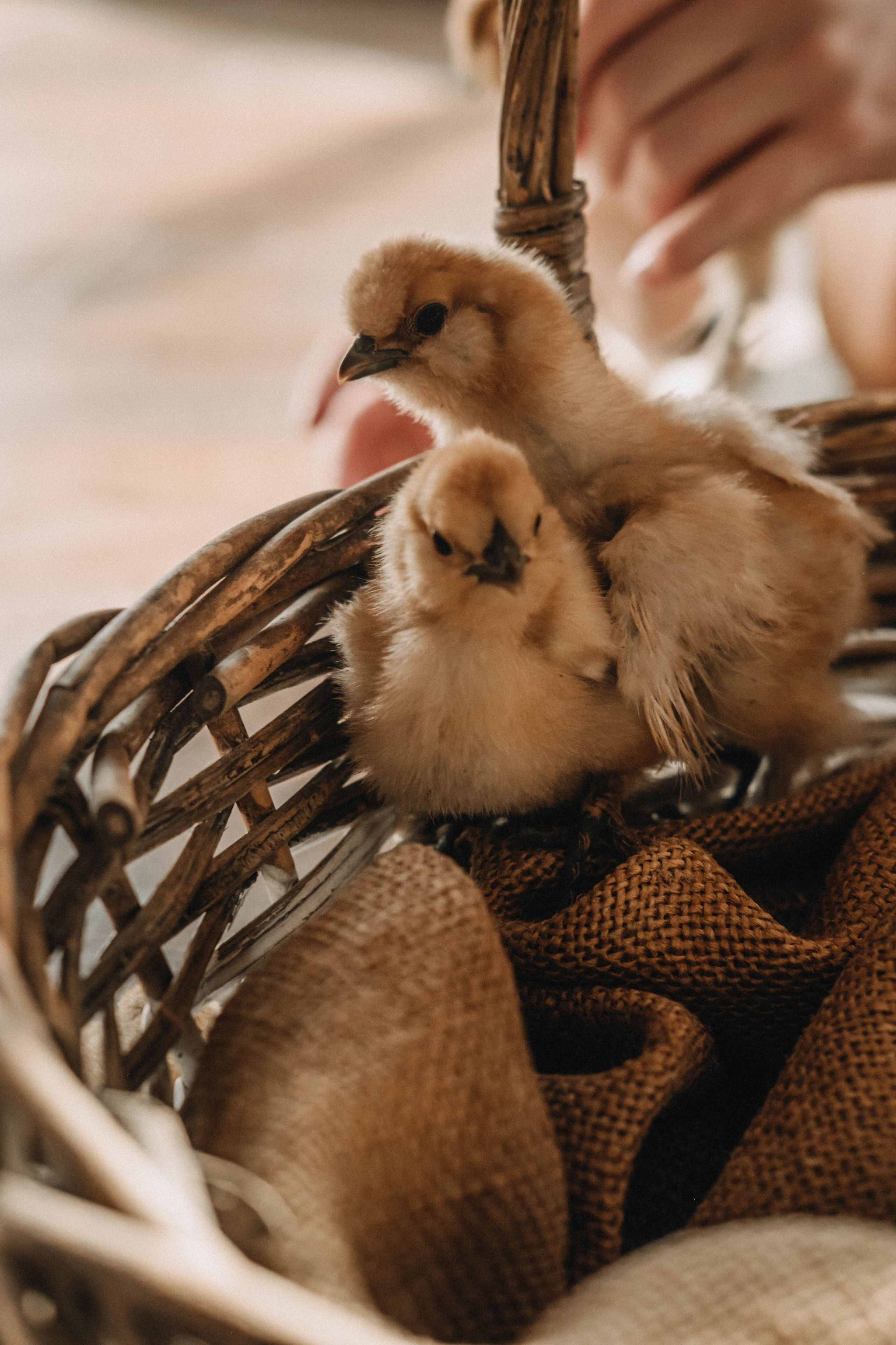 7. Свадебный фотограф Челябинск