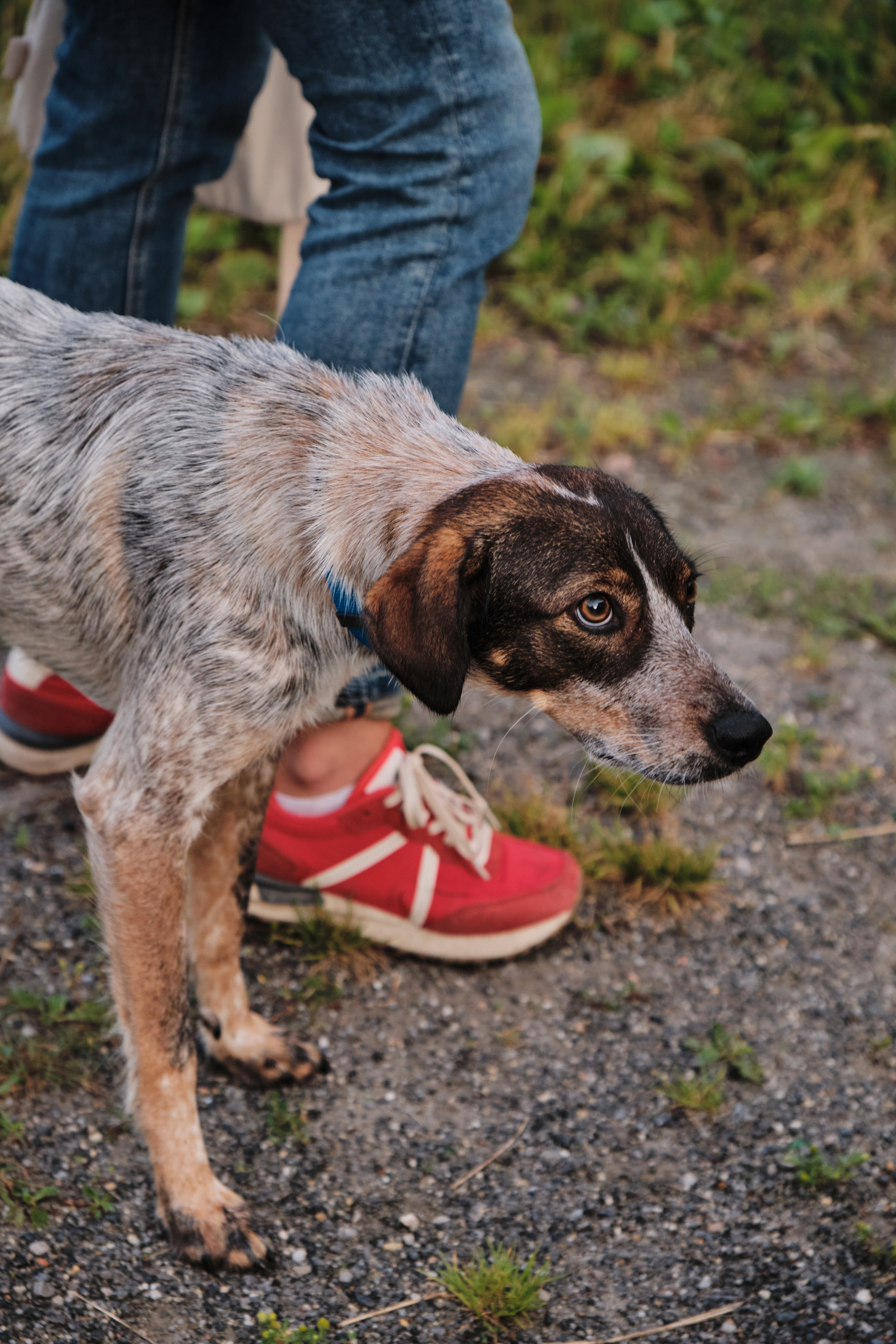 Академ-городок и ботанический сад. Goncharov Tim