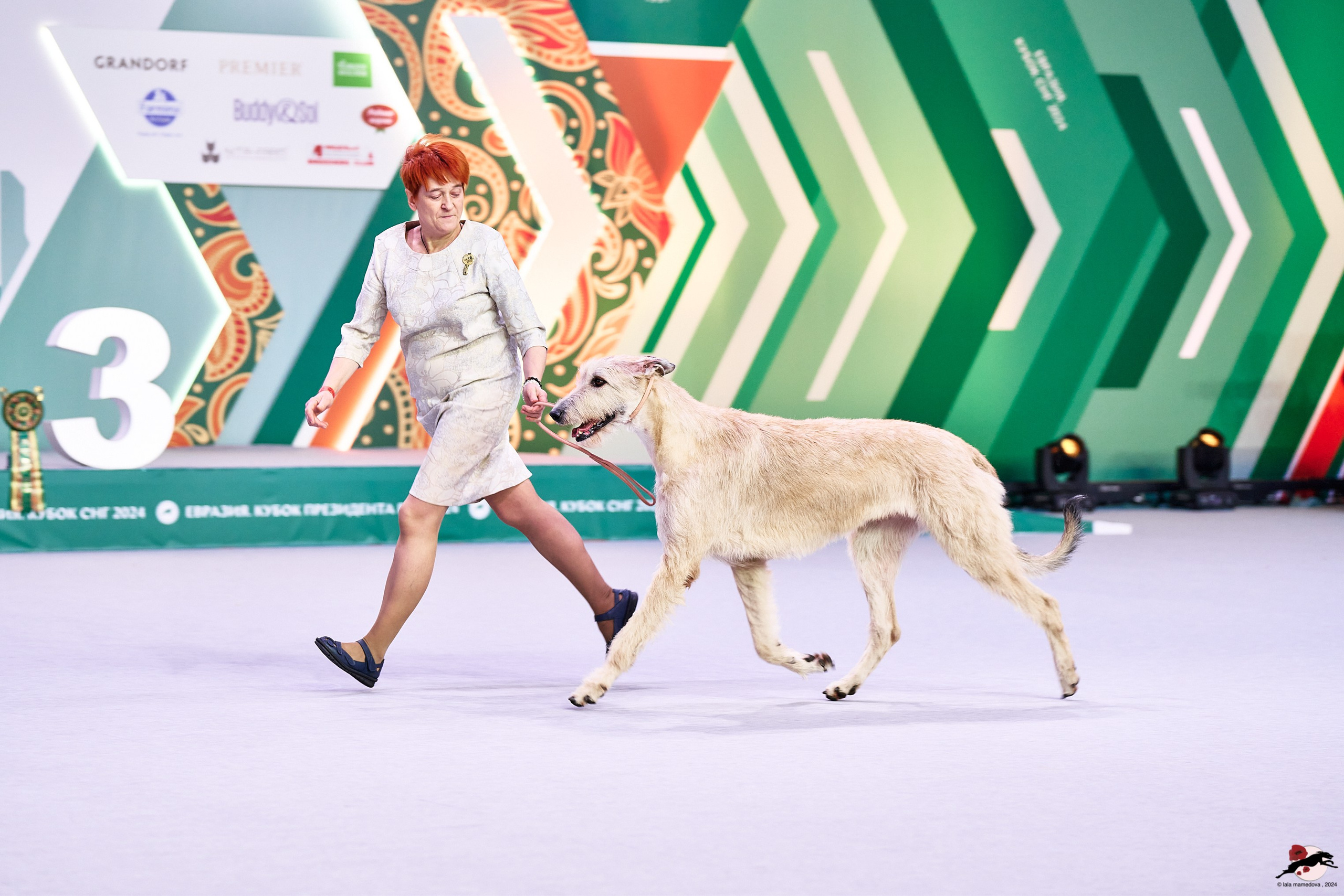 16.11.2024 «ЕВРАЗИЯ. КУБОК ПРЕЗИДЕНТА РКФ 2024»