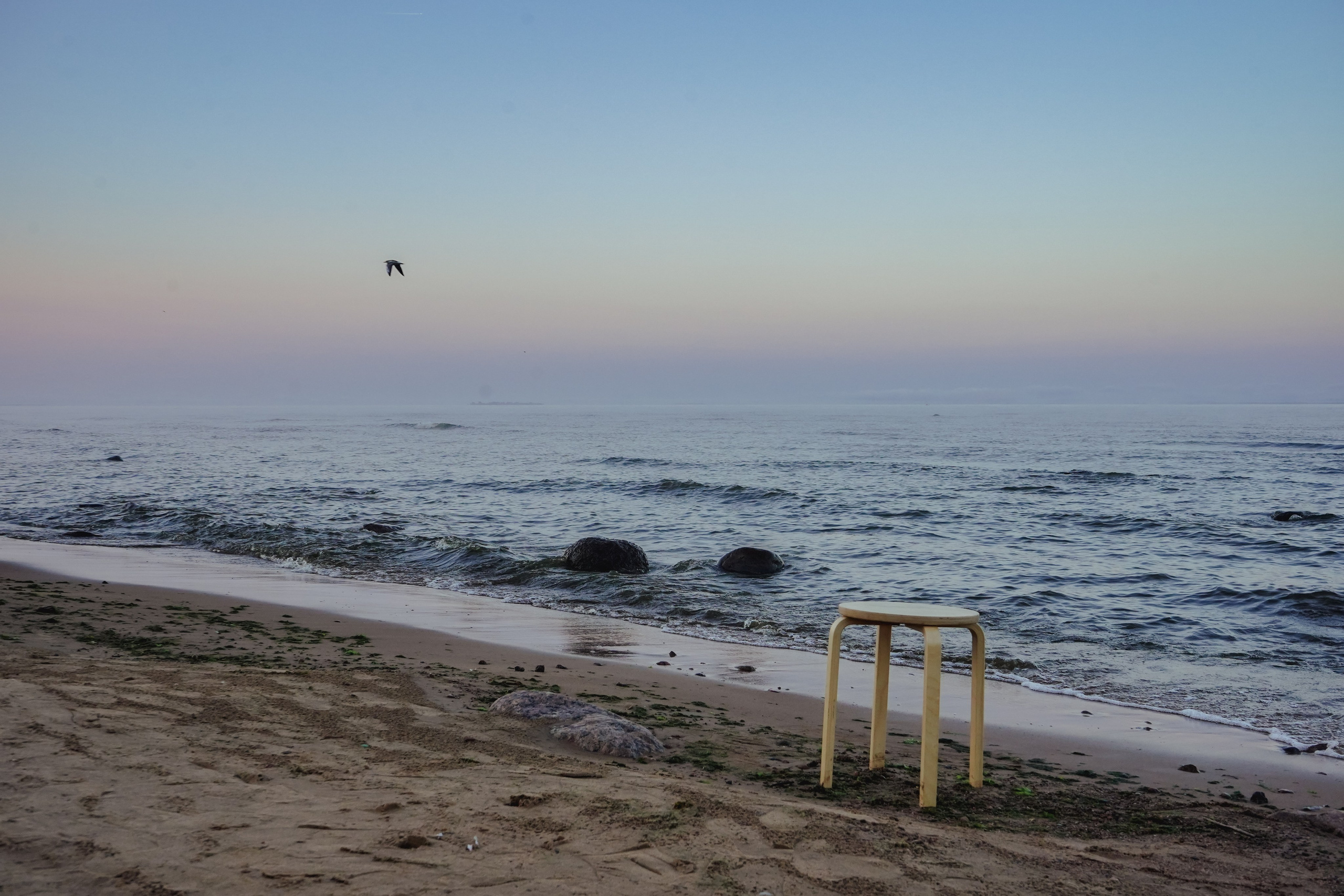 Разное. Фотограф в Санкт-Петербурге Виктория Барышникова