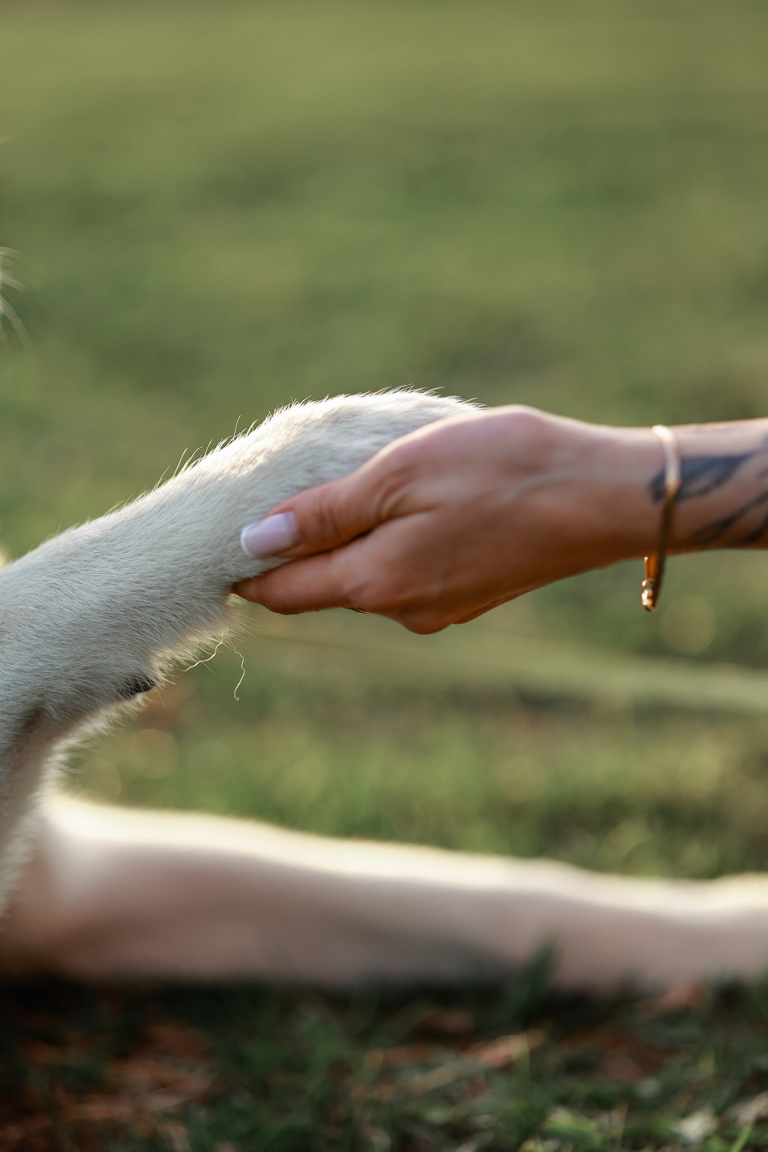 Фотограф Юлия Говор