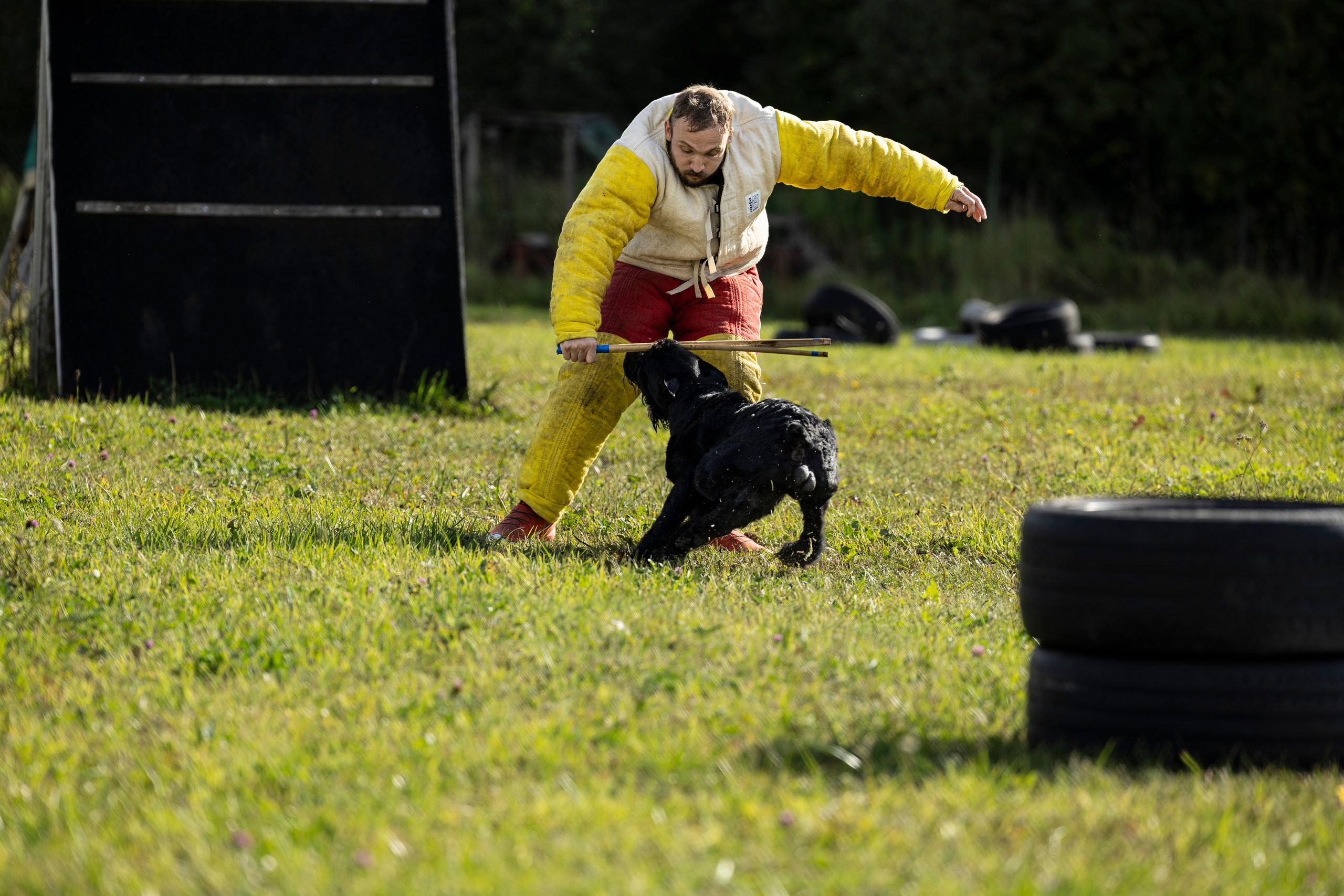 Испытания по Мондьорингу г. Пушкин. Фотограф-анималист Анна Маринич