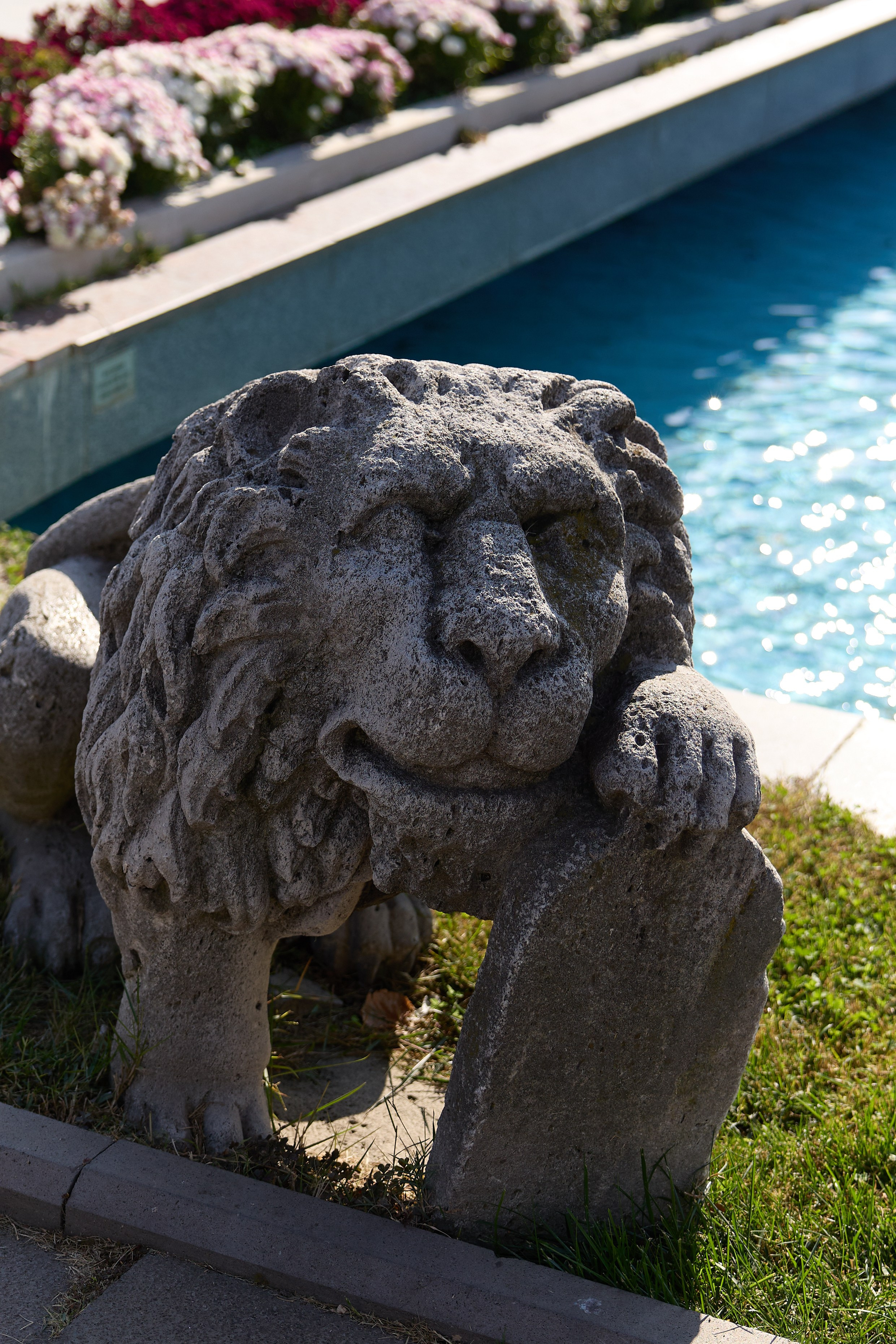 Стамбул 24. Фотограф Москва, Дима Пеллер