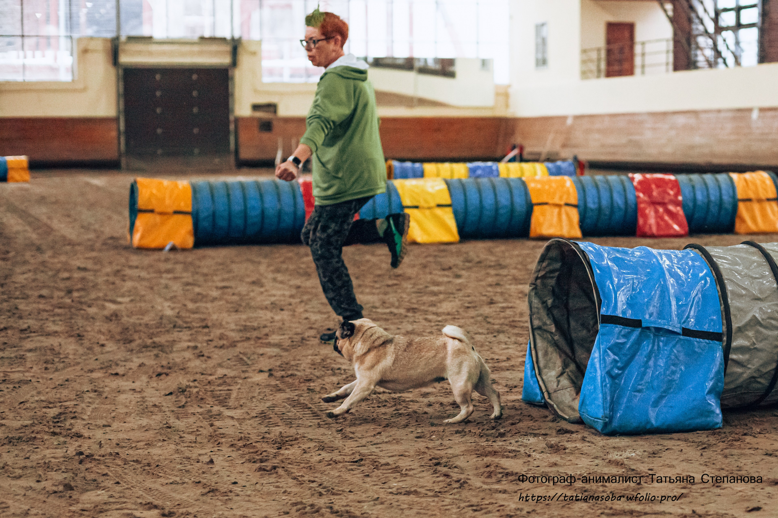 Соревнования по Аджилити 25.02.2024. Фотограф-анималист Татьяна Степанова