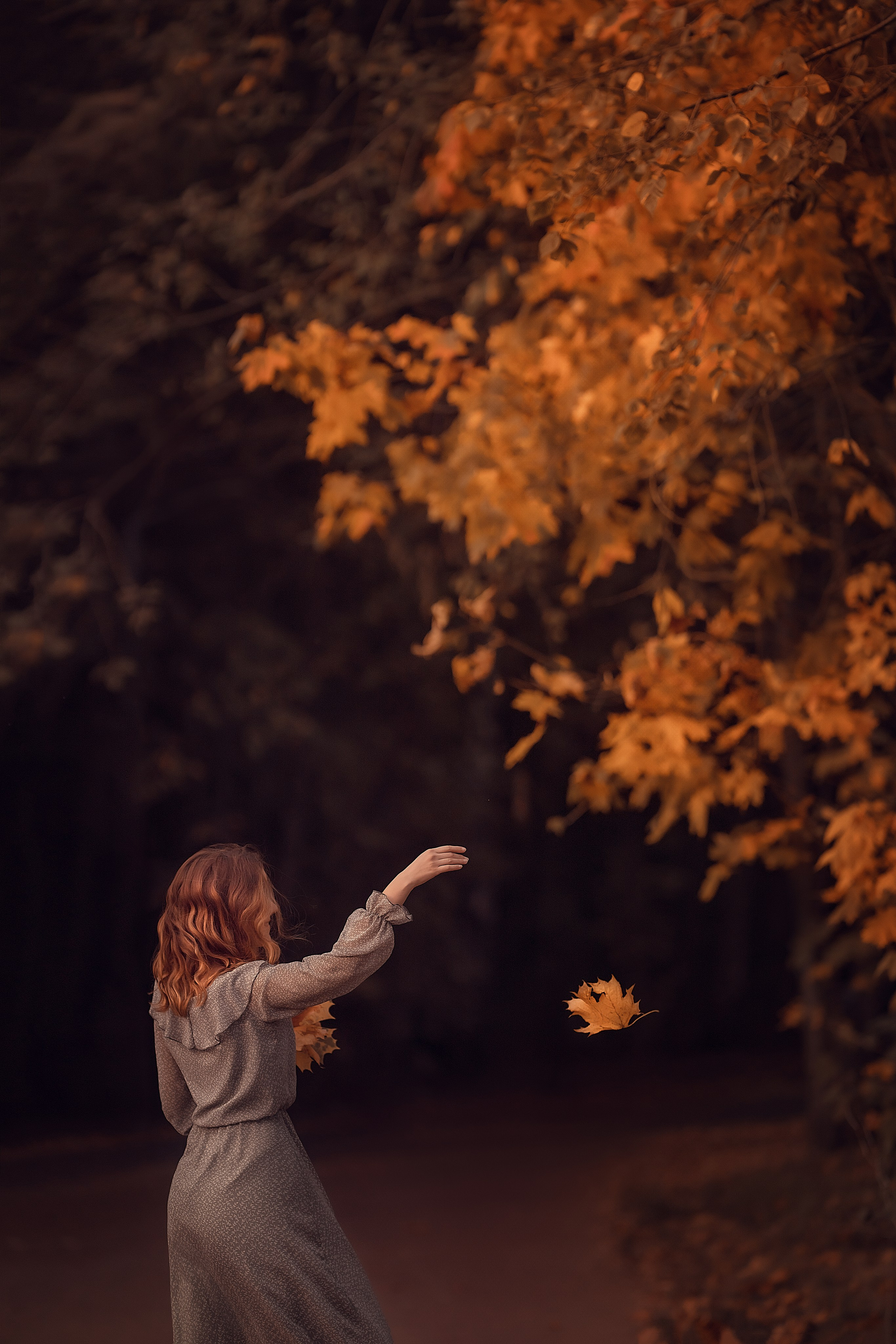Портфолио. Семейный и детский фотограф в Москве Елизавета Царькова