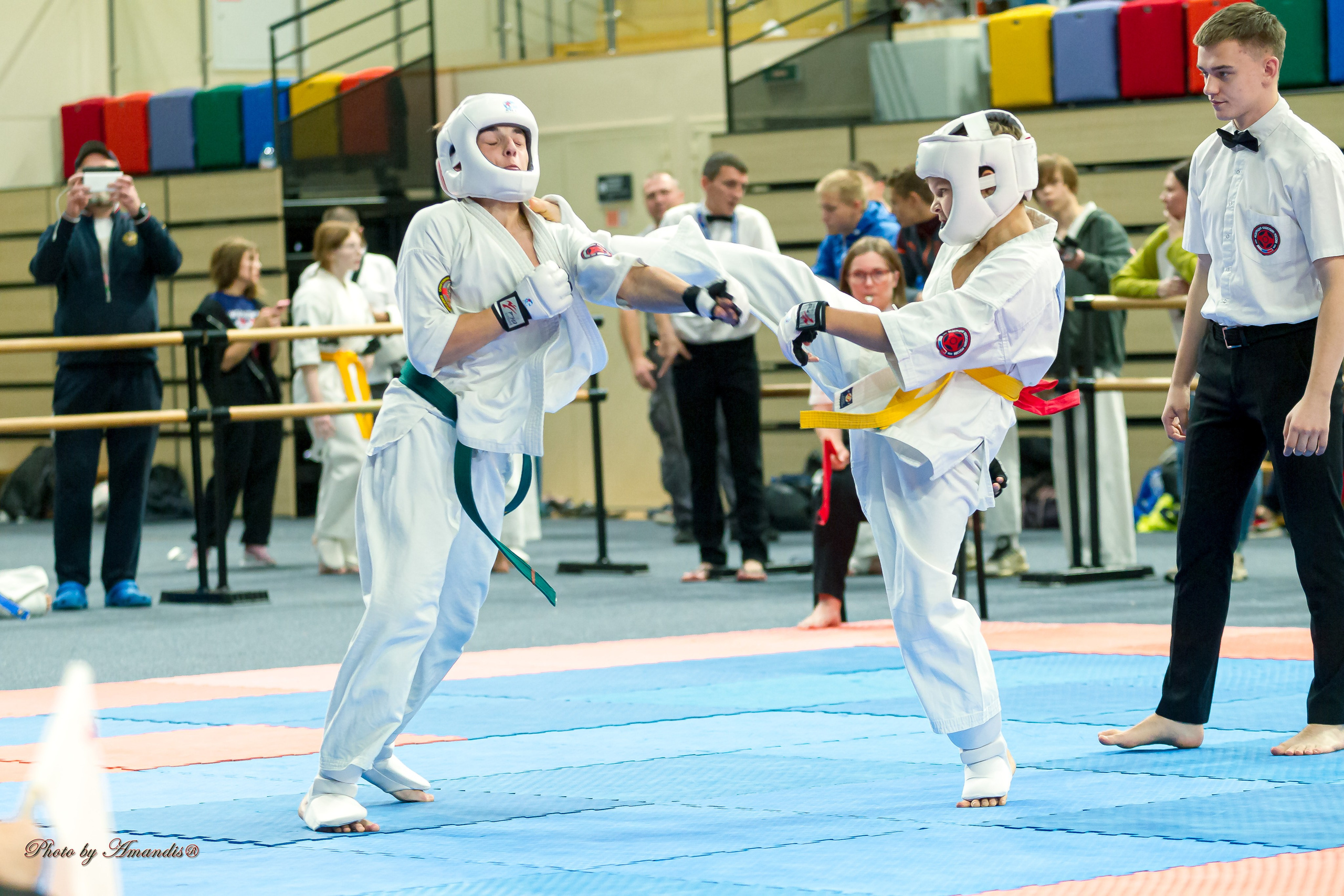 Первенство Московской области по Киокушин в СК «Жаворонки». Репортажная съемка в Москве и области. Анималистика