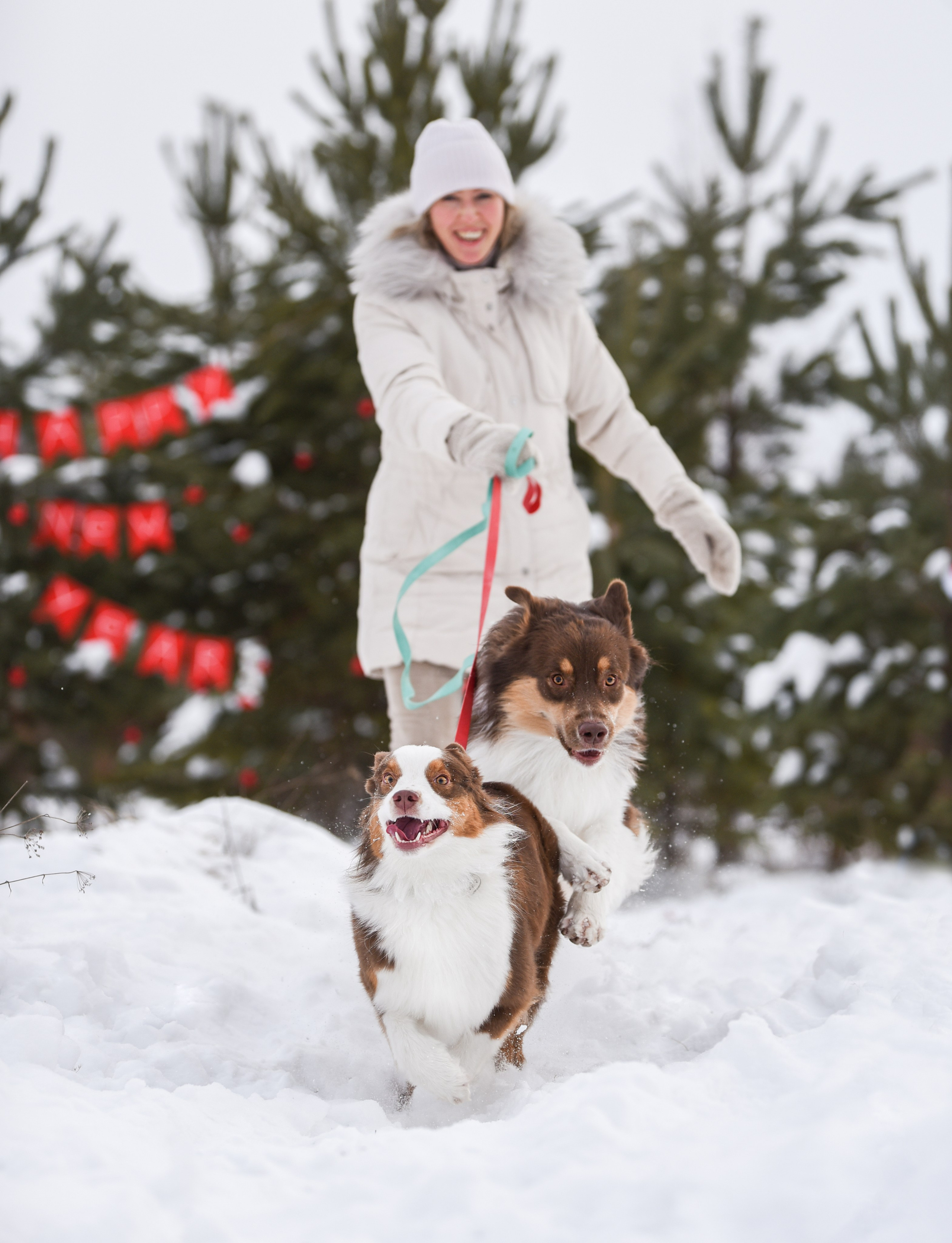 Портфолио. Фотограф-анималист в Екатеринбурге Марина Шишкина