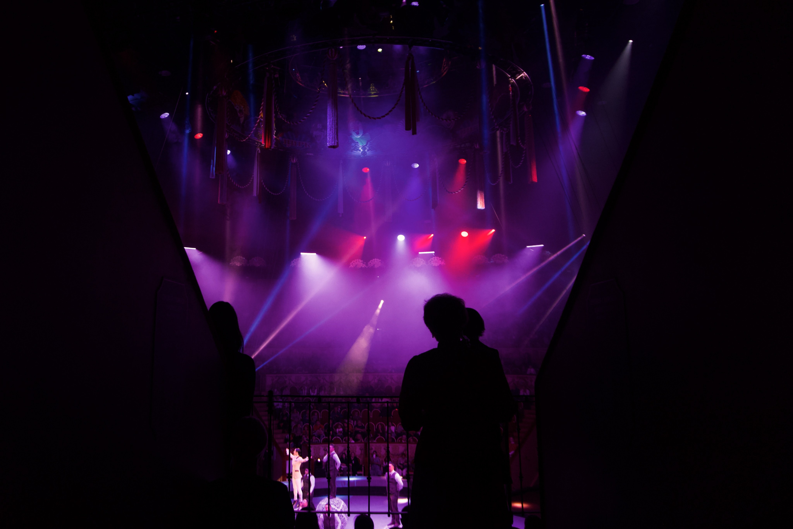 Цирк. Анна Жукова — Режиссёр кино и цирка, сценарист, фотограф