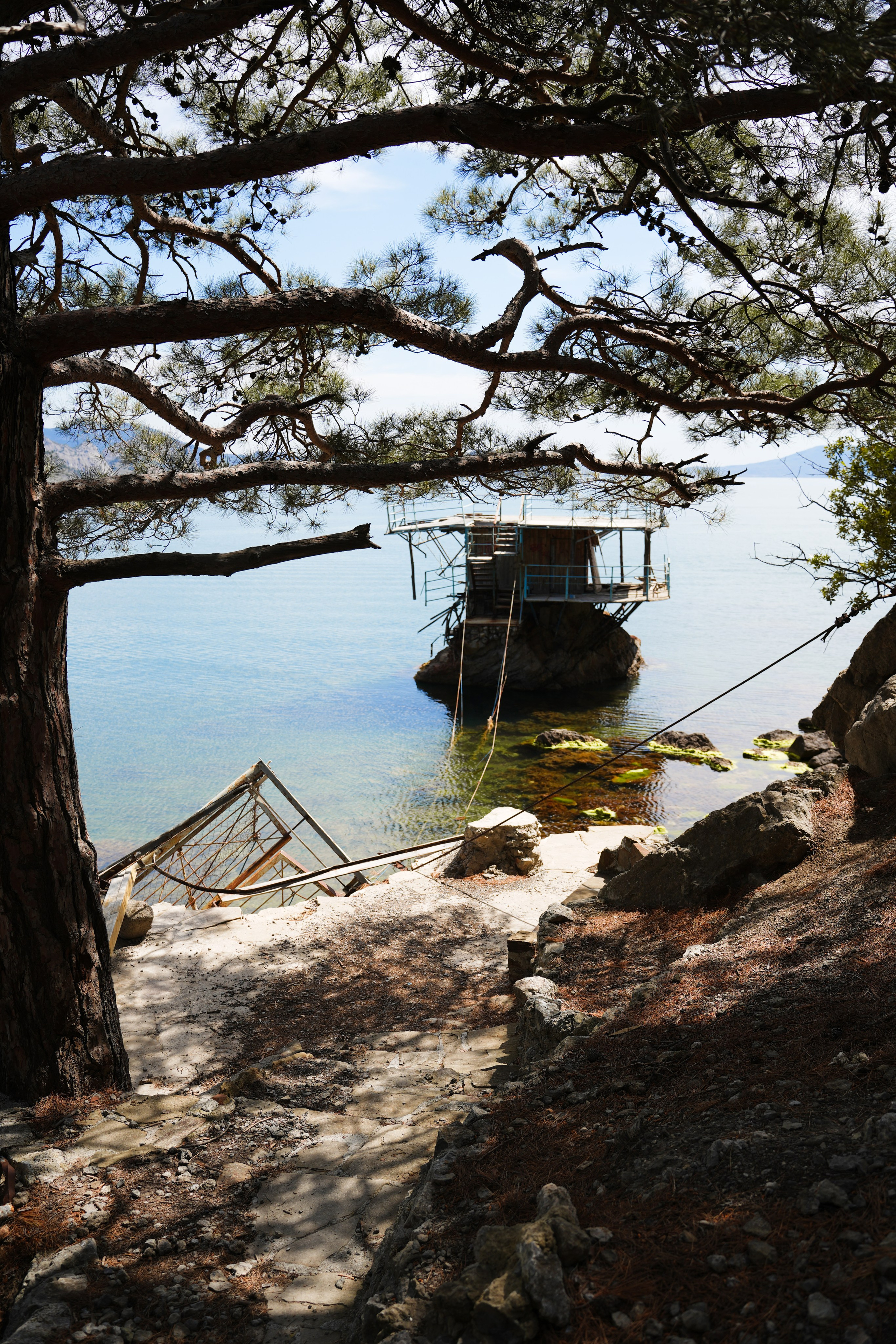 Крым. Анна Жукова — Режиссёр кино и цирка, сценарист, фотограф