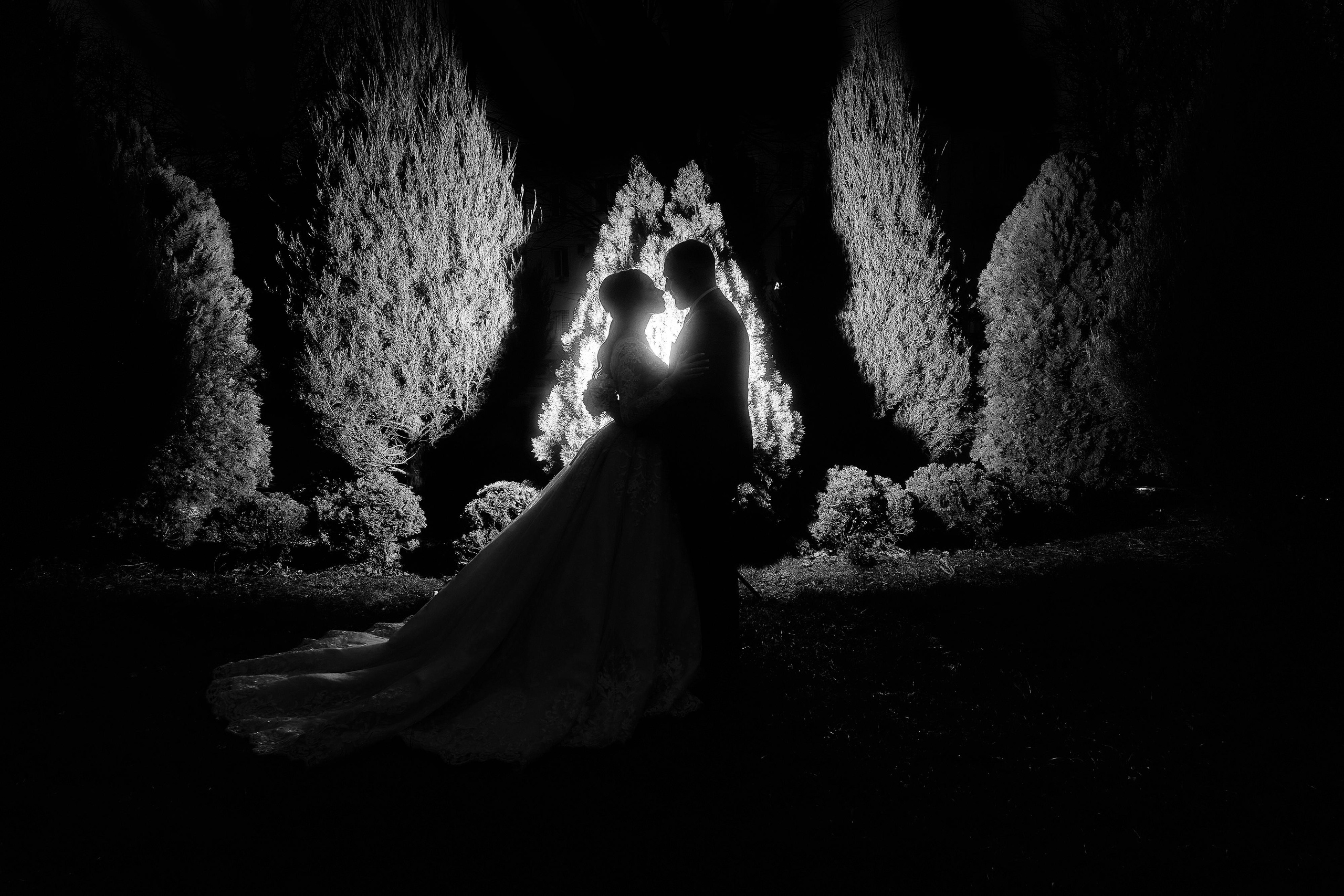 Олег и Юлианна. Фотограф|Николай Манвелов