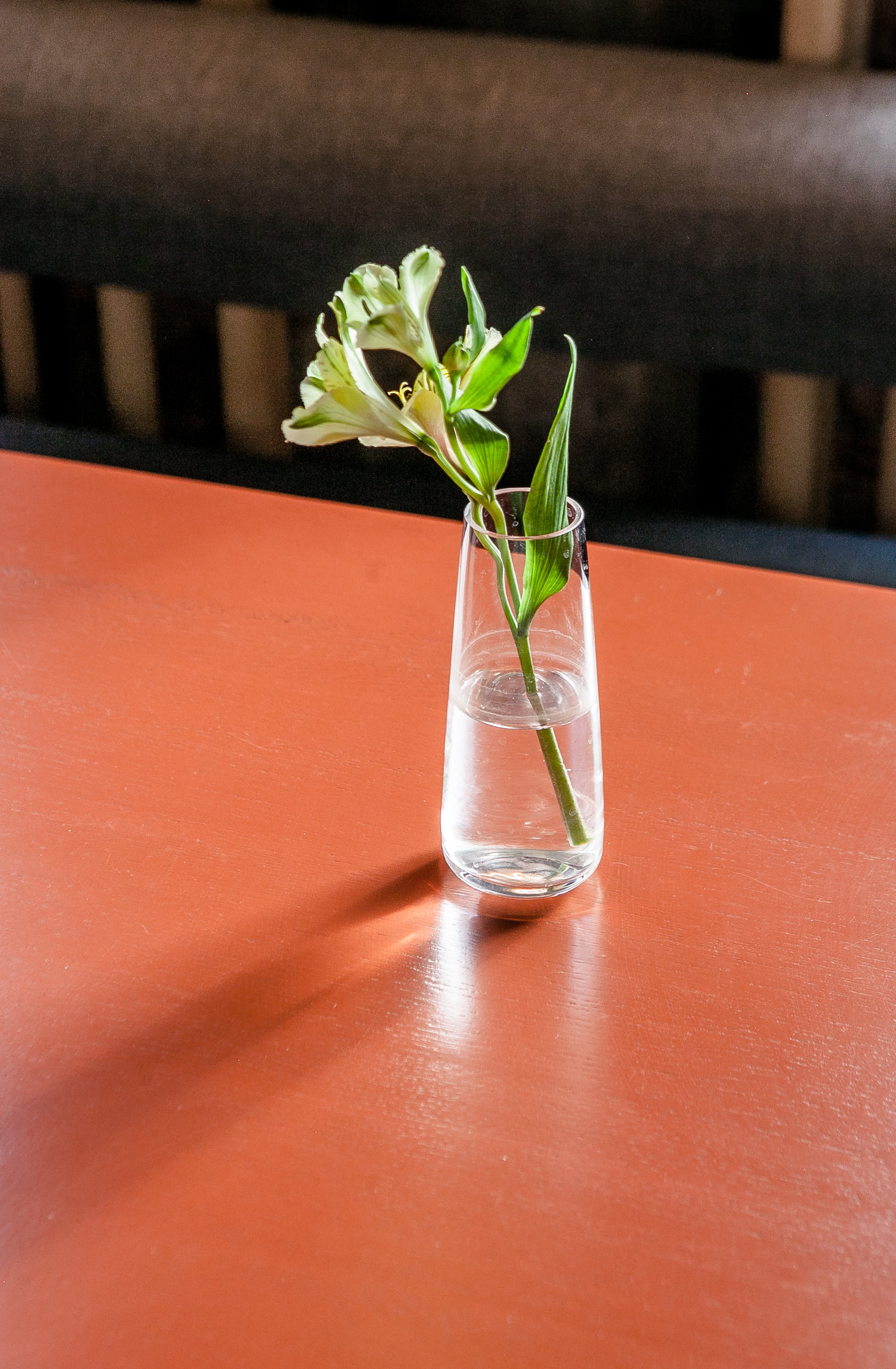 Фуд-съемка. Фотограф Мельник Ирина. Москва