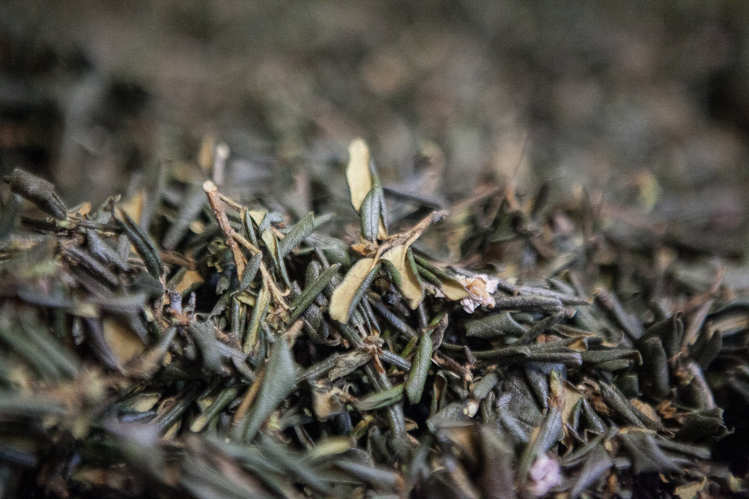 Предметы. Фотограф Мельник Ирина. Москва