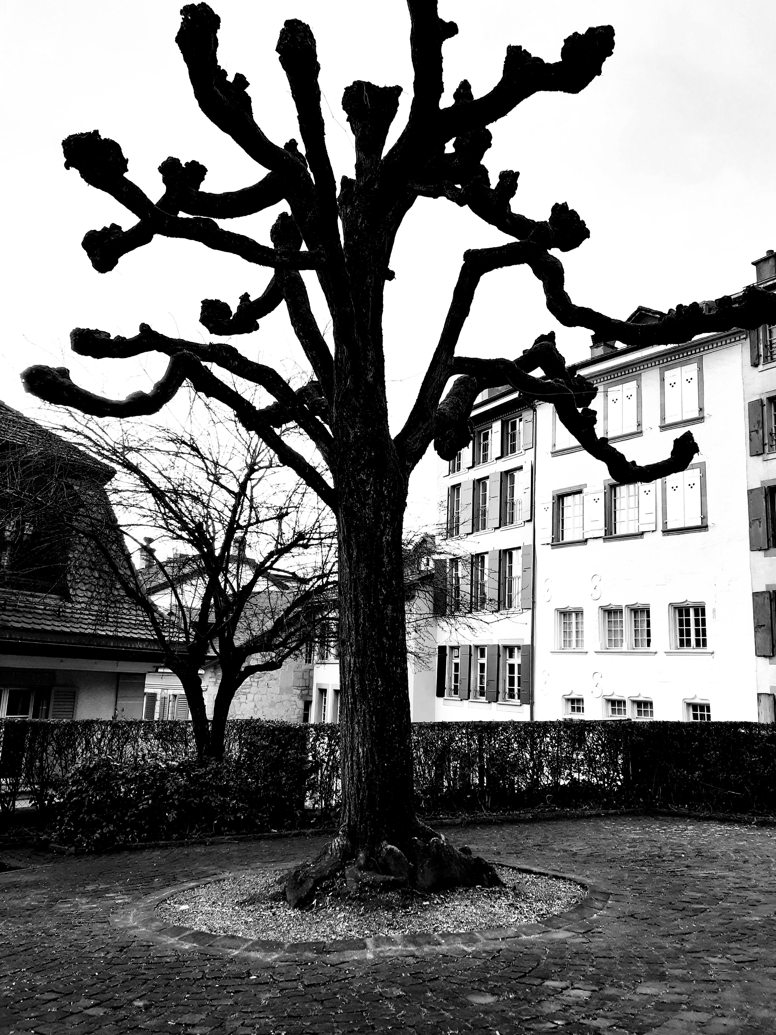 Swetzerland. Juliarubis.com