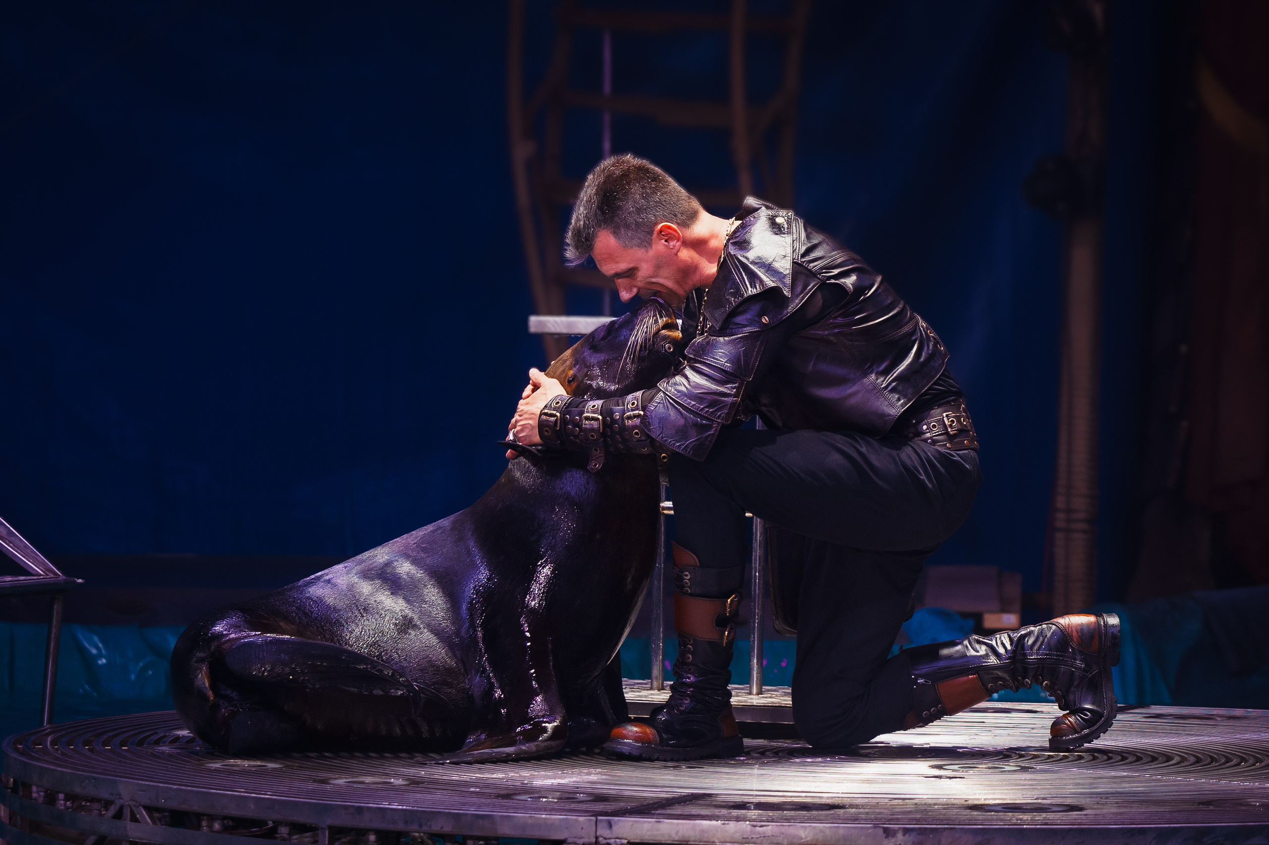 Aqua Circus. Фотограф мероприятий в Таганроге Александр Потихонов