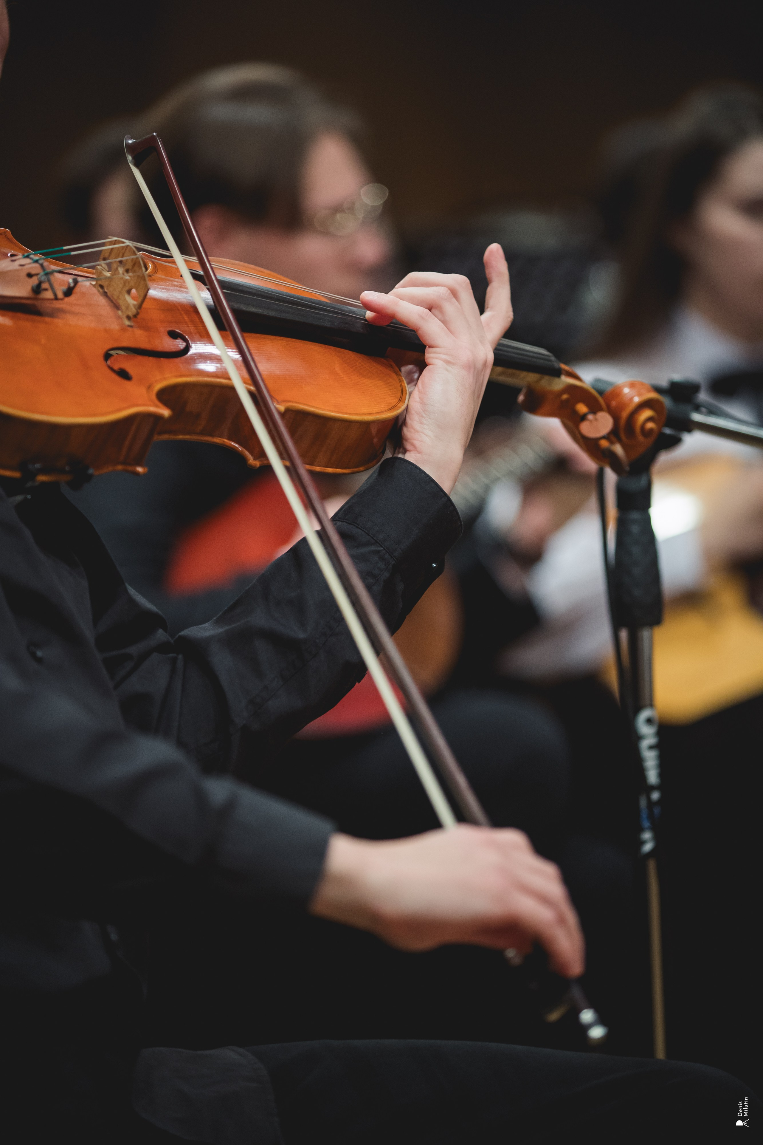 Концерт в консерватории. Портретный фотограф Денис Милютин