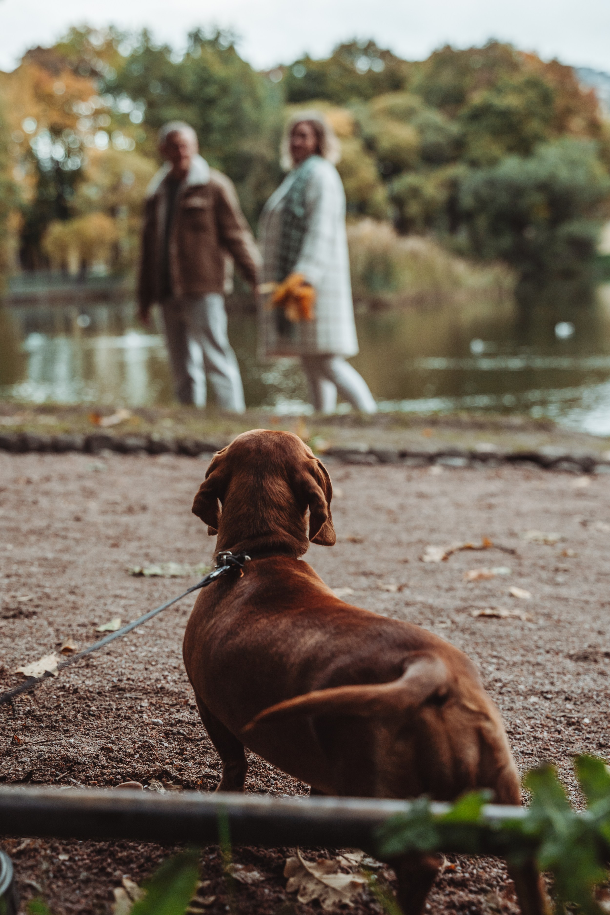 Лав стори фотограф Санкт-Петербург. Свадебный, семейный, портретный, репортажный фотограф в Санкт-Петербурге