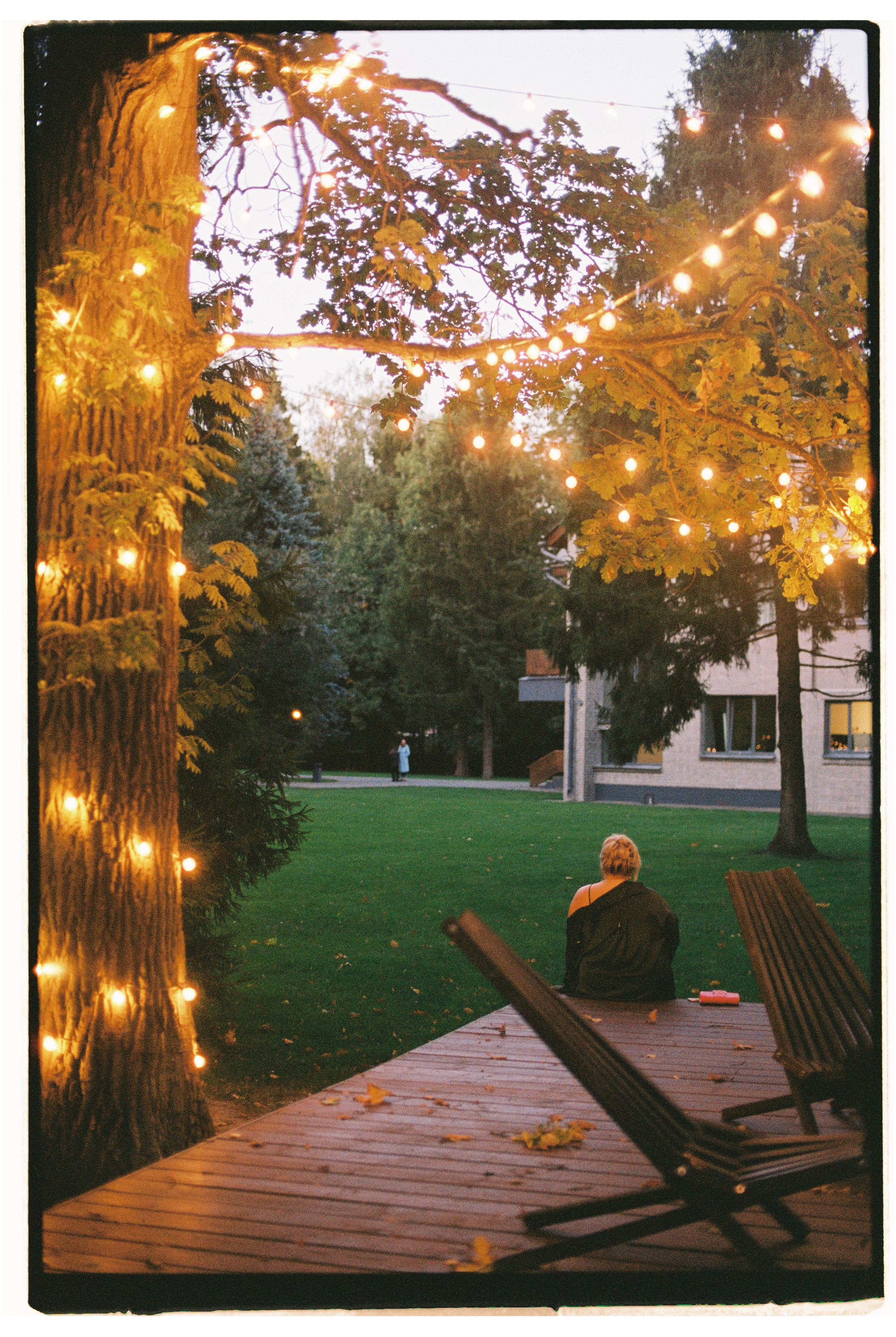 Film WD. Свадебный и репортажный фотограф