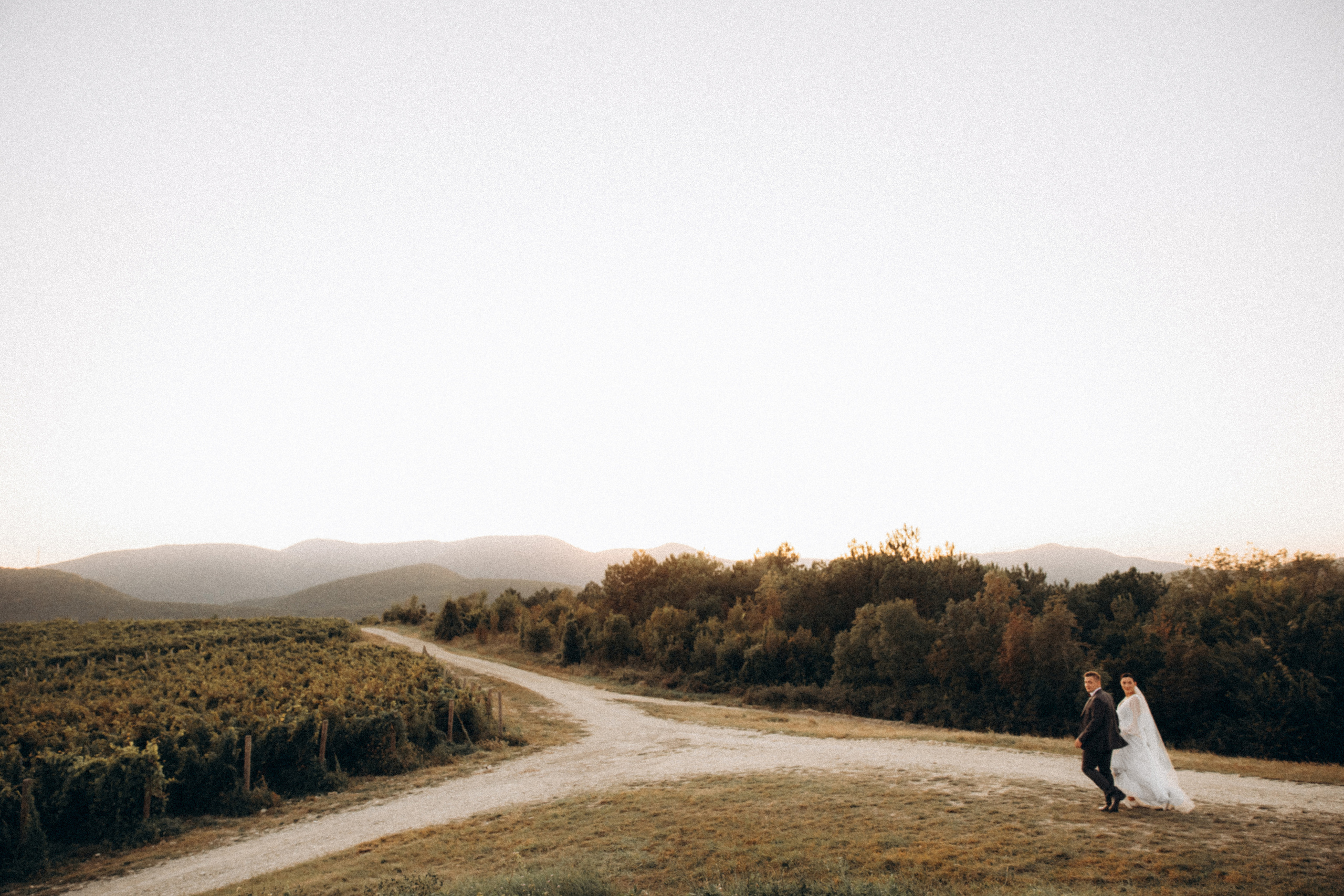 Корчма «семь котов». Абрау-Дюрсо. 2021. Никита Погосов