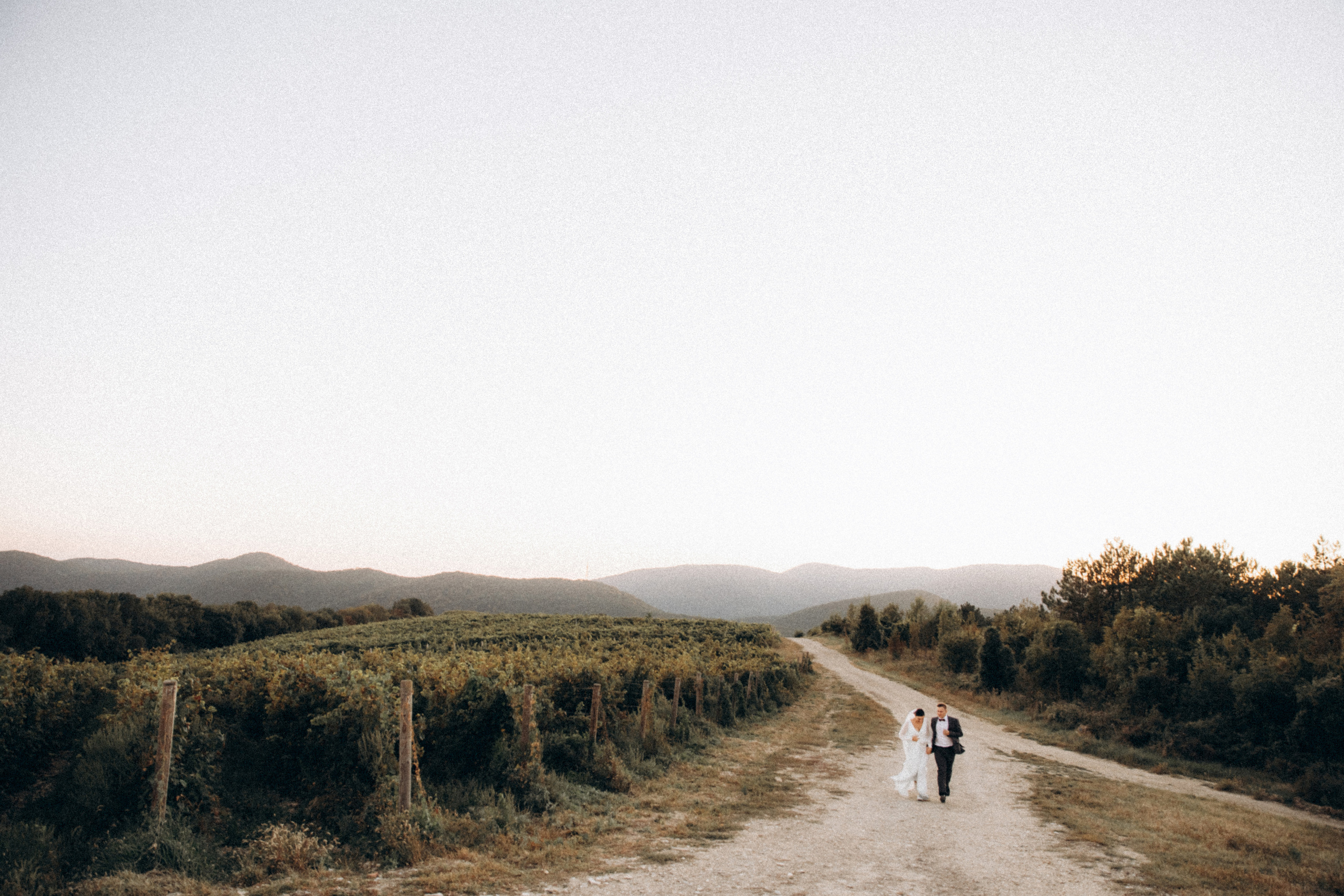 Корчма «семь котов». Абрау-Дюрсо. 2021. Никита Погосов