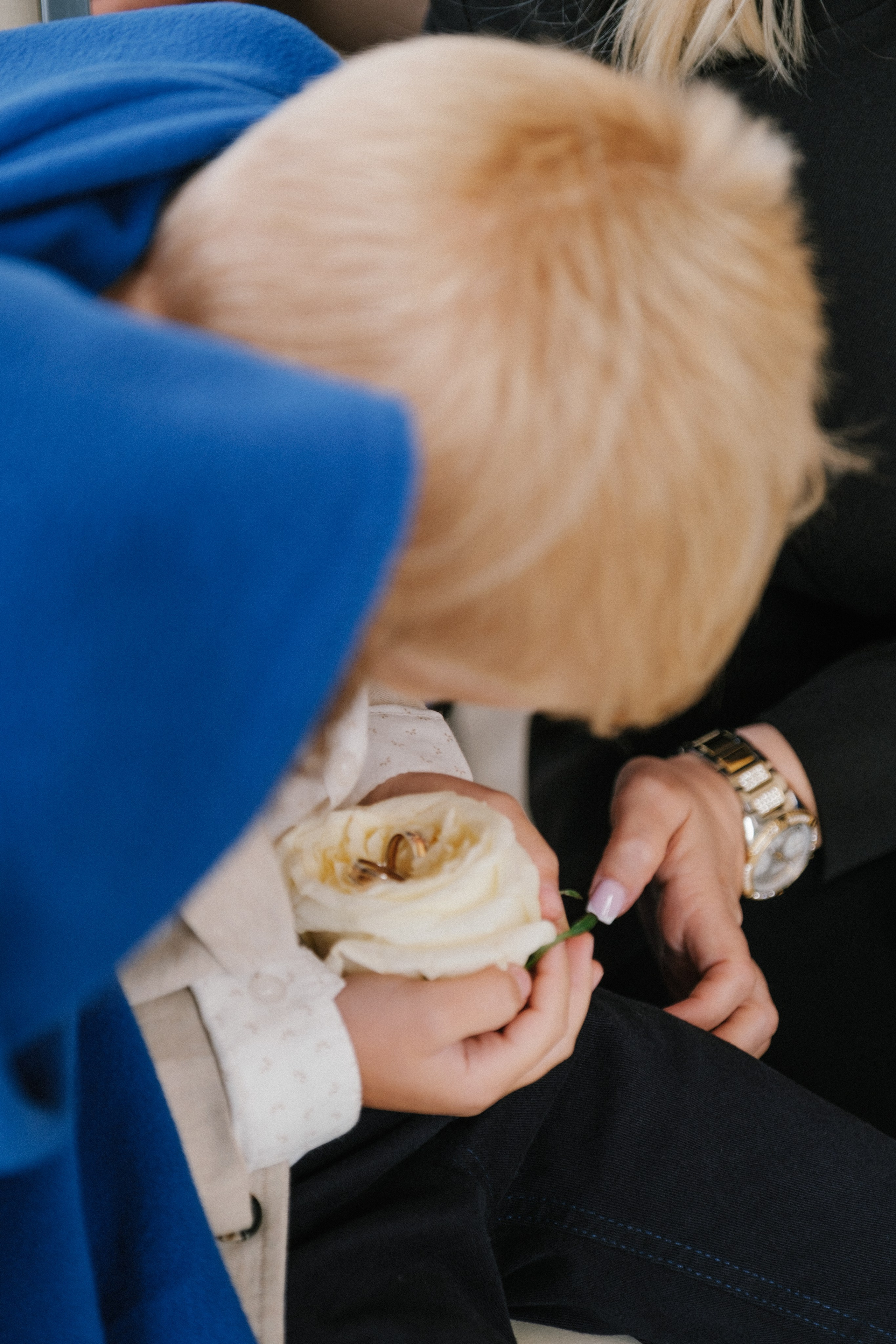 Виктория / Евгений. Свадебный Видеограф Фотограф в Сочи