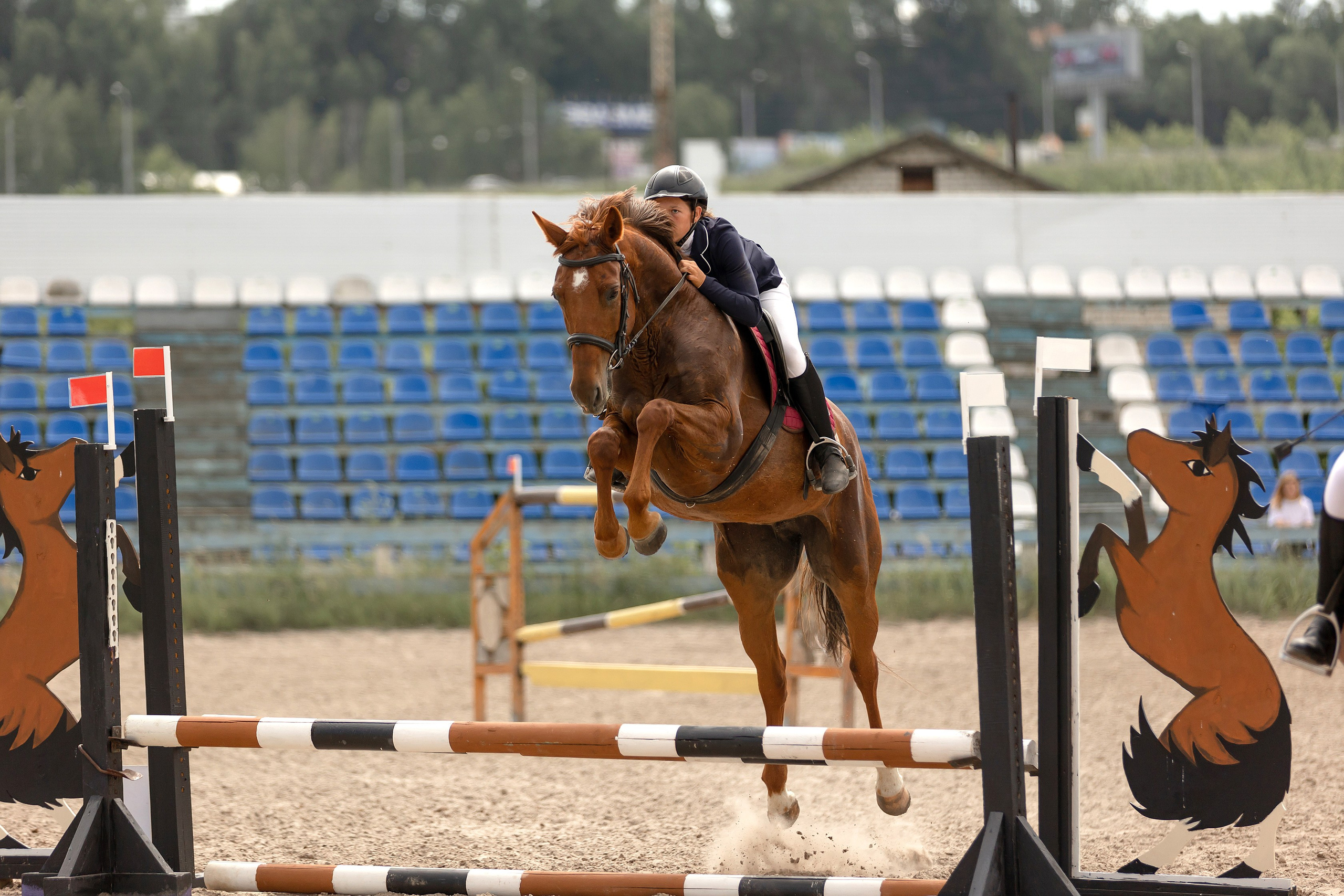 Соревнования по конному спорту. Конный фотограф Валынкина Лера