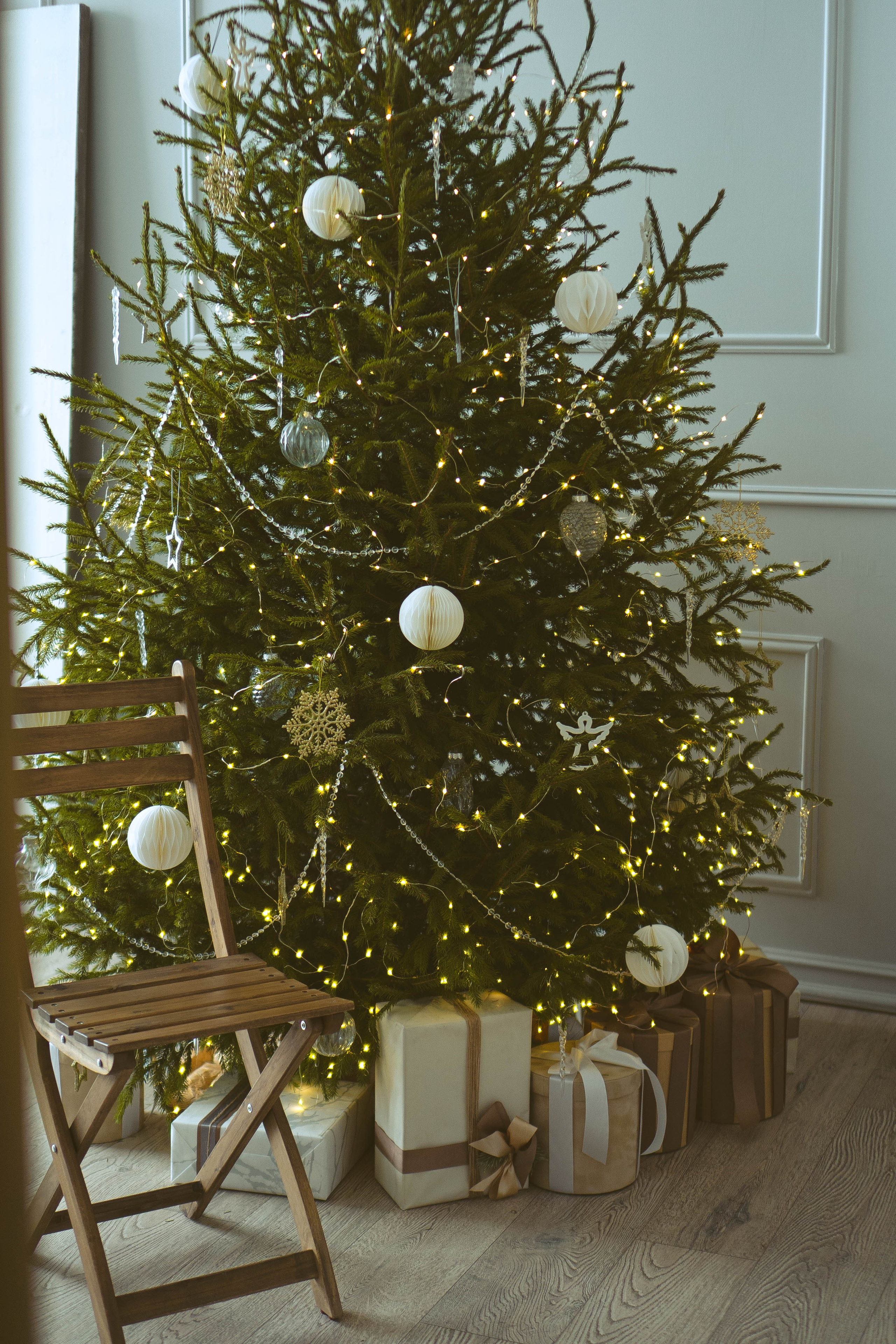 Новогодняя. Профессиональный фотограф, Санкт-Петербург — Виктория Богомолова