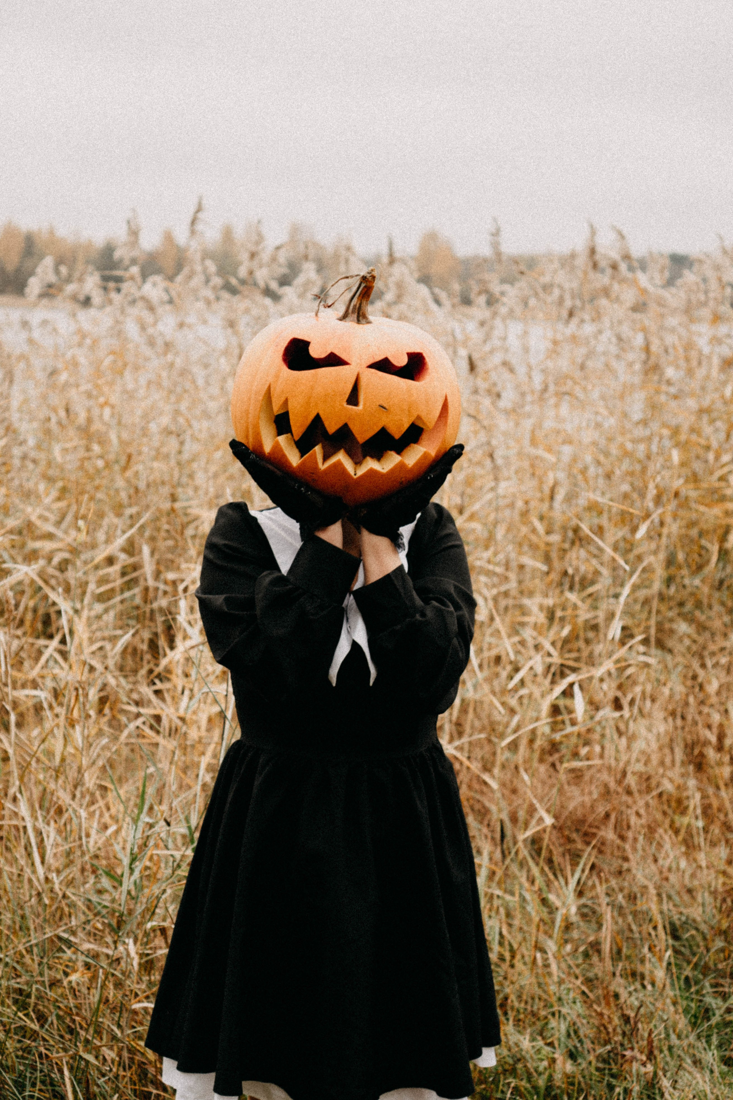Осеняя. Профессиональный фотограф, Санкт-Петербург — Виктория Богомолова