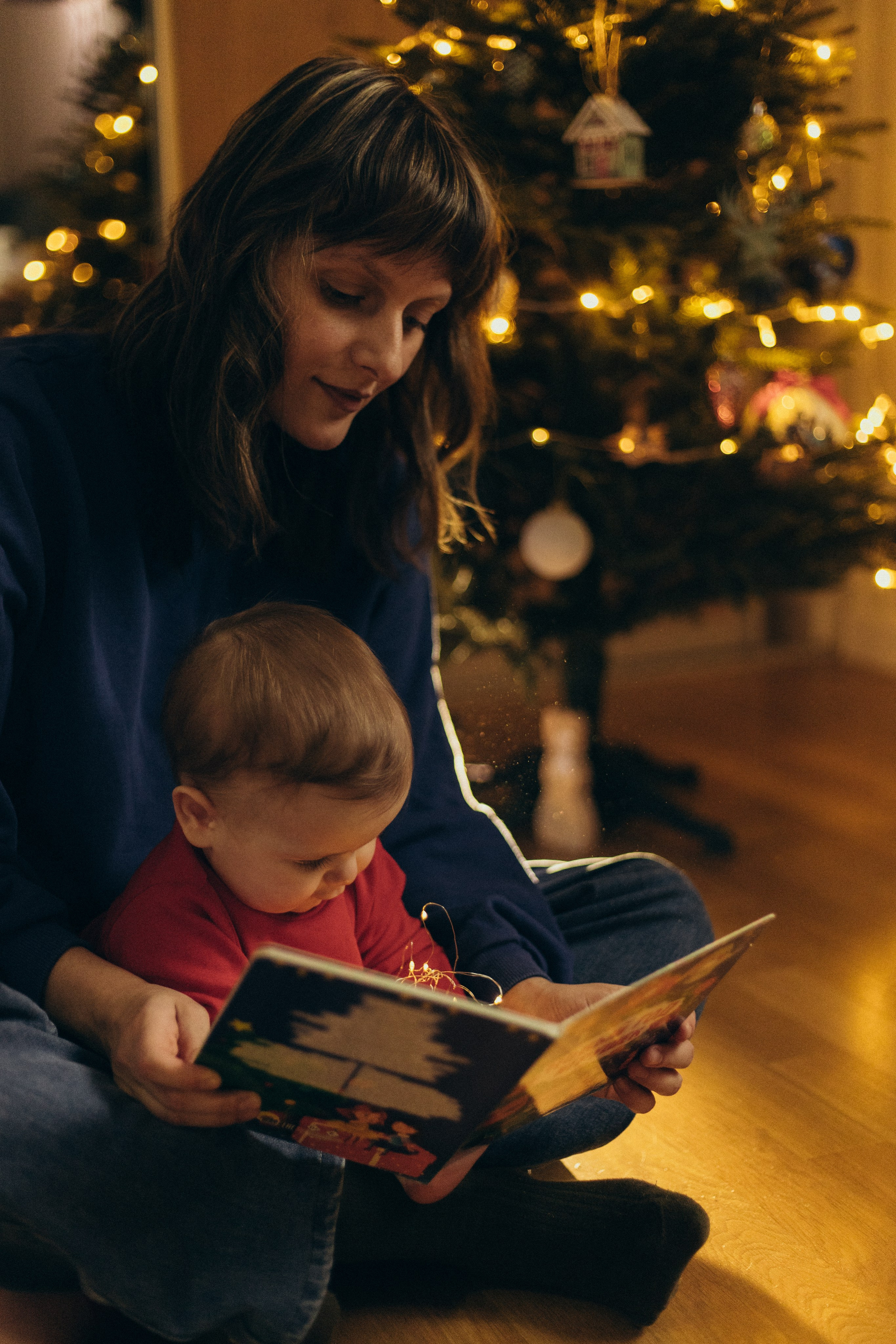 Домашняя история. Meryfotoidea