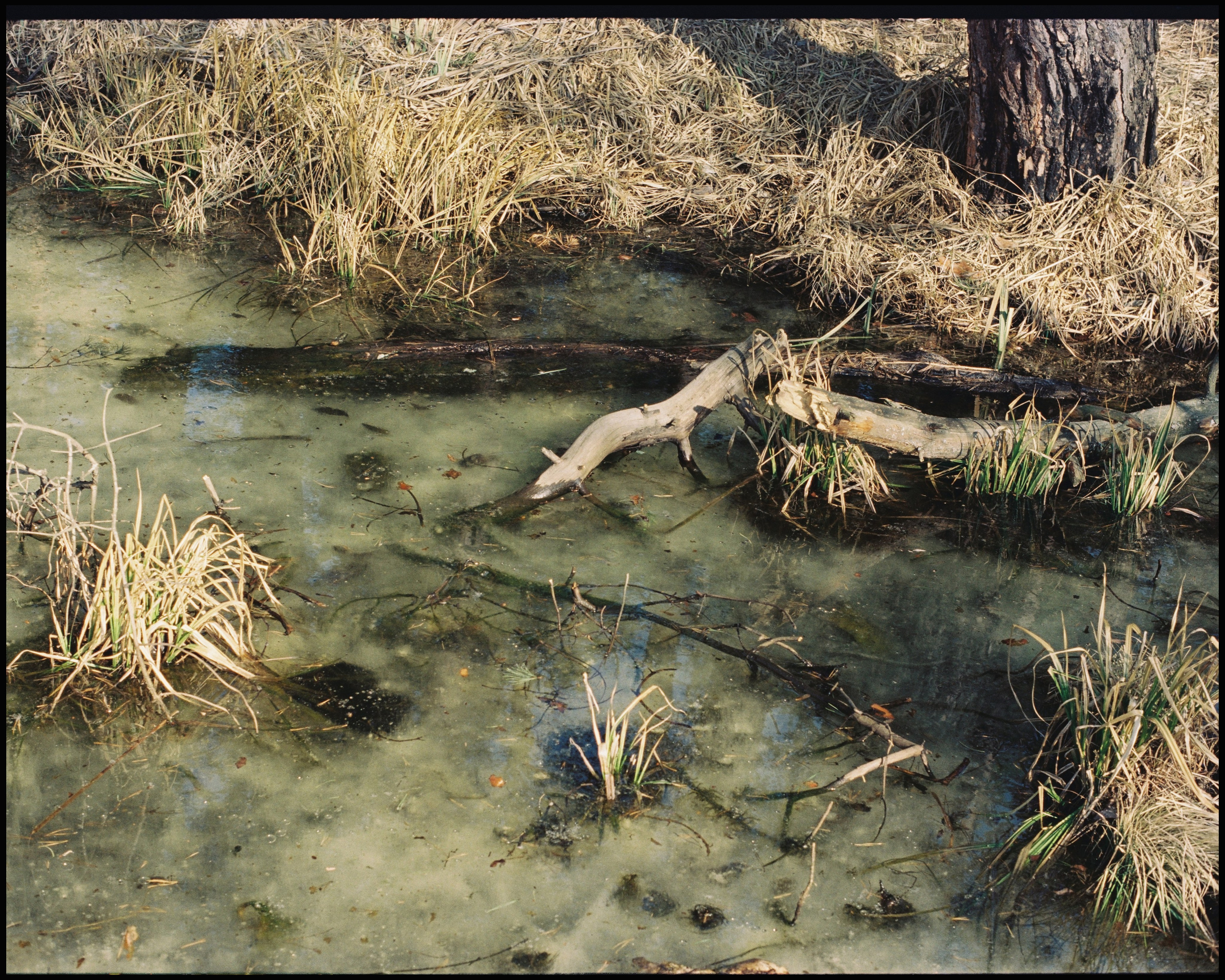 KALUGA. ANNA — PHOTOGRAPHER