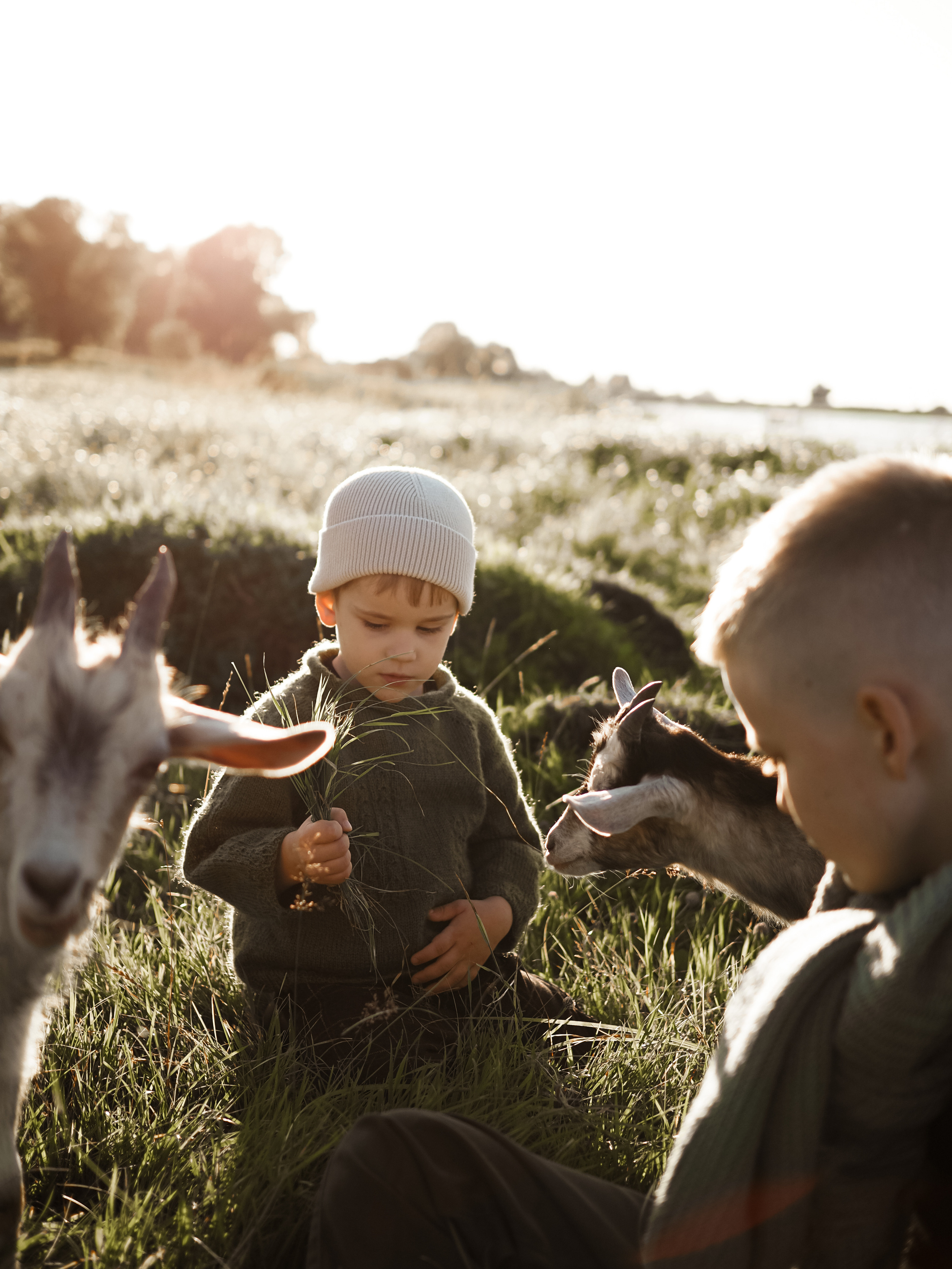 Холмы на закате. Фотограф Рязань. Семейный Свадебный фотограф