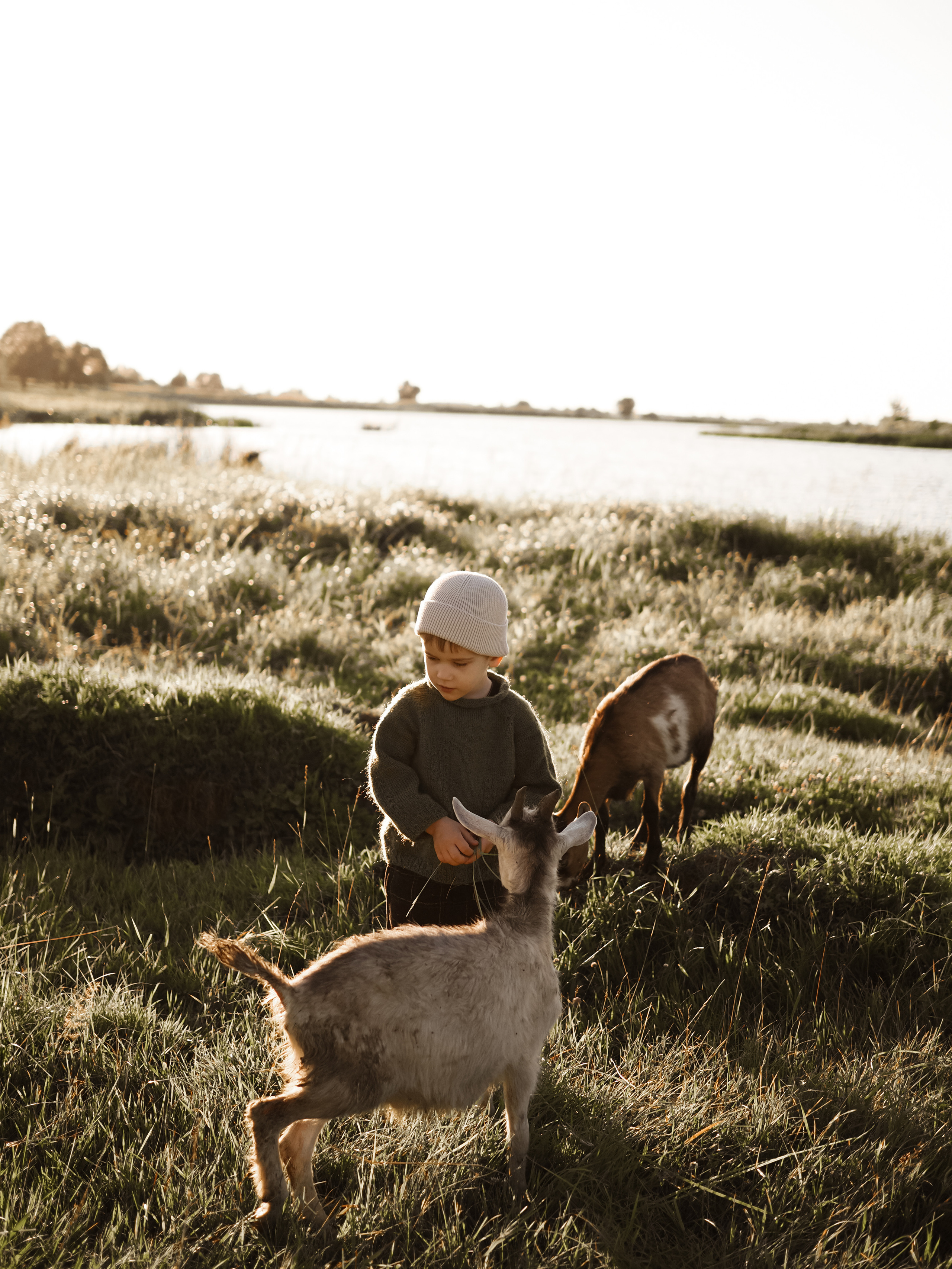 Холмы на закате. Фотограф Рязань. Семейный Свадебный фотограф