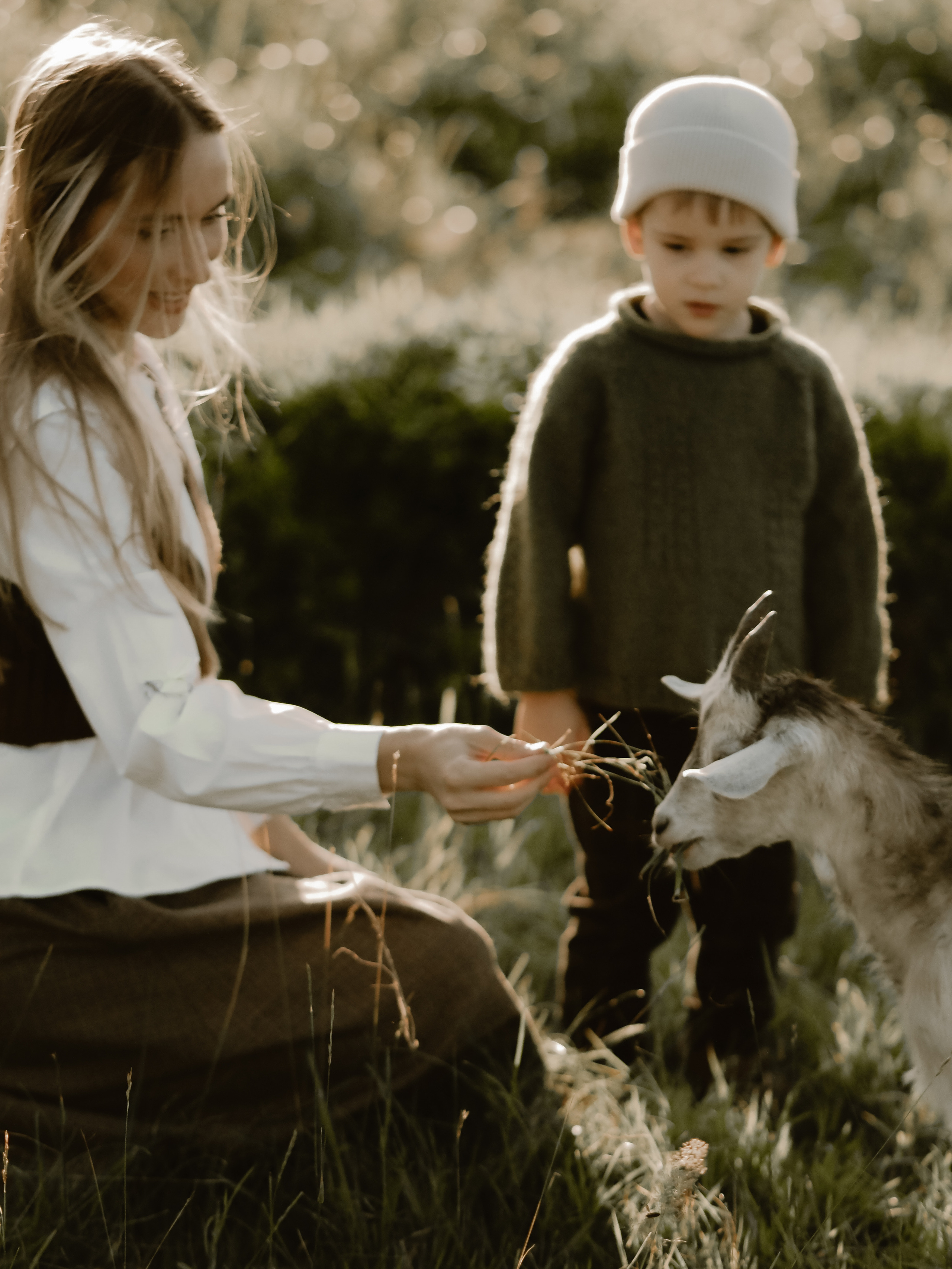 Холмы на закате. Фотограф Рязань. Семейный Свадебный фотограф
