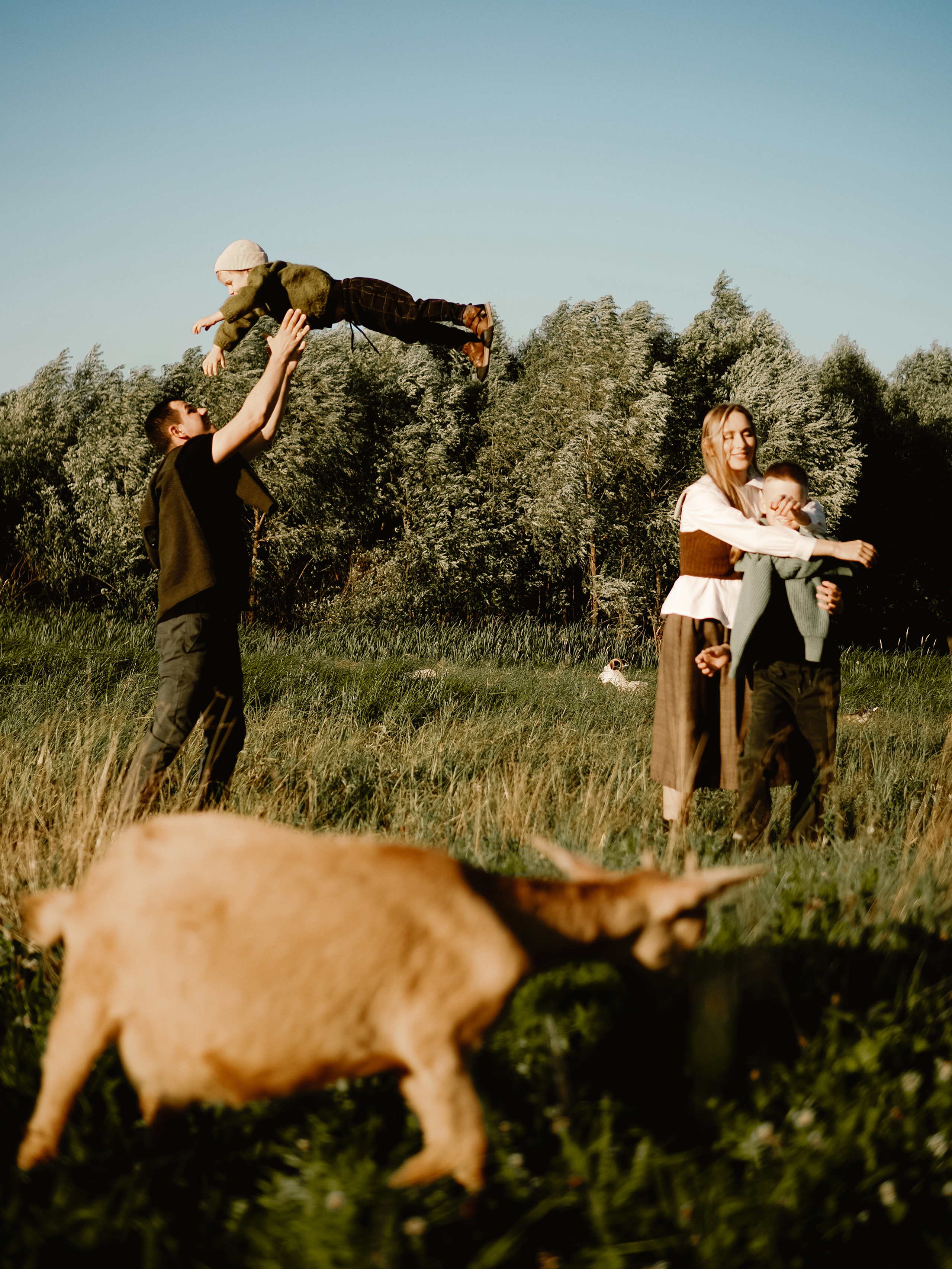 Холмы на закате. Фотограф Рязань. Семейный Свадебный фотограф