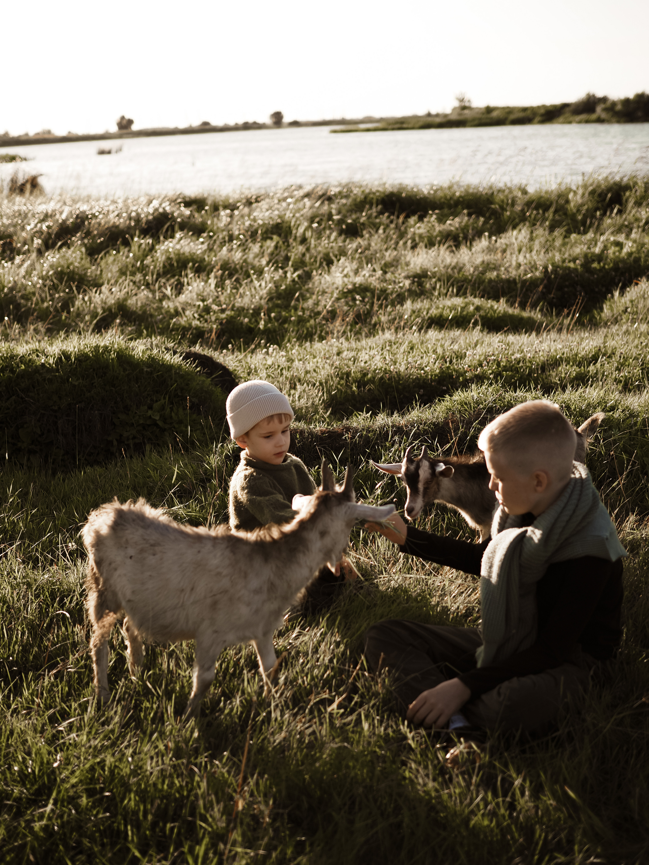 Холмы на закате. Фотограф Рязань. Семейный Свадебный фотограф