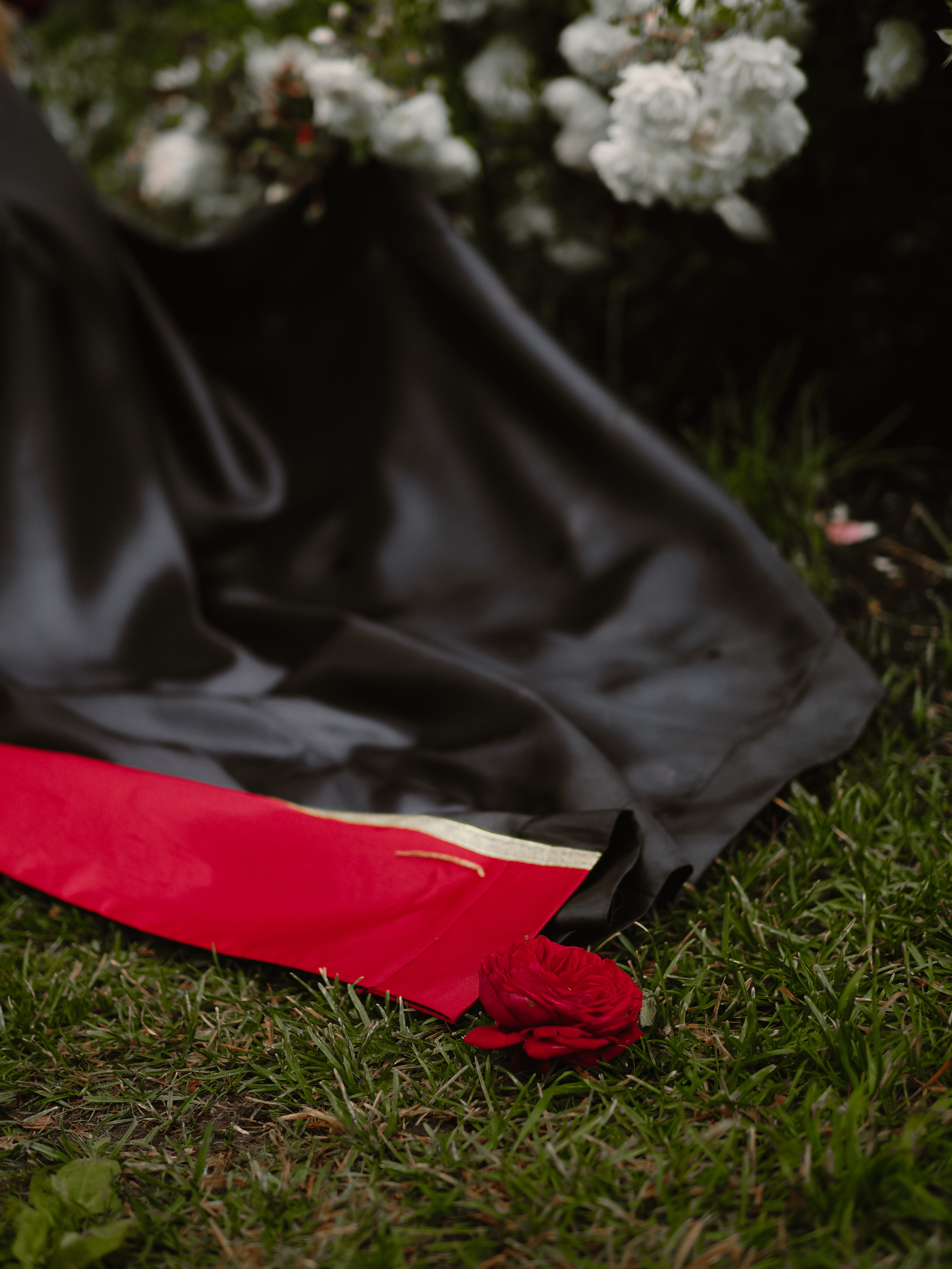 РязГМУ 1. Фотограф Рязань. Семейный Свадебный фотограф